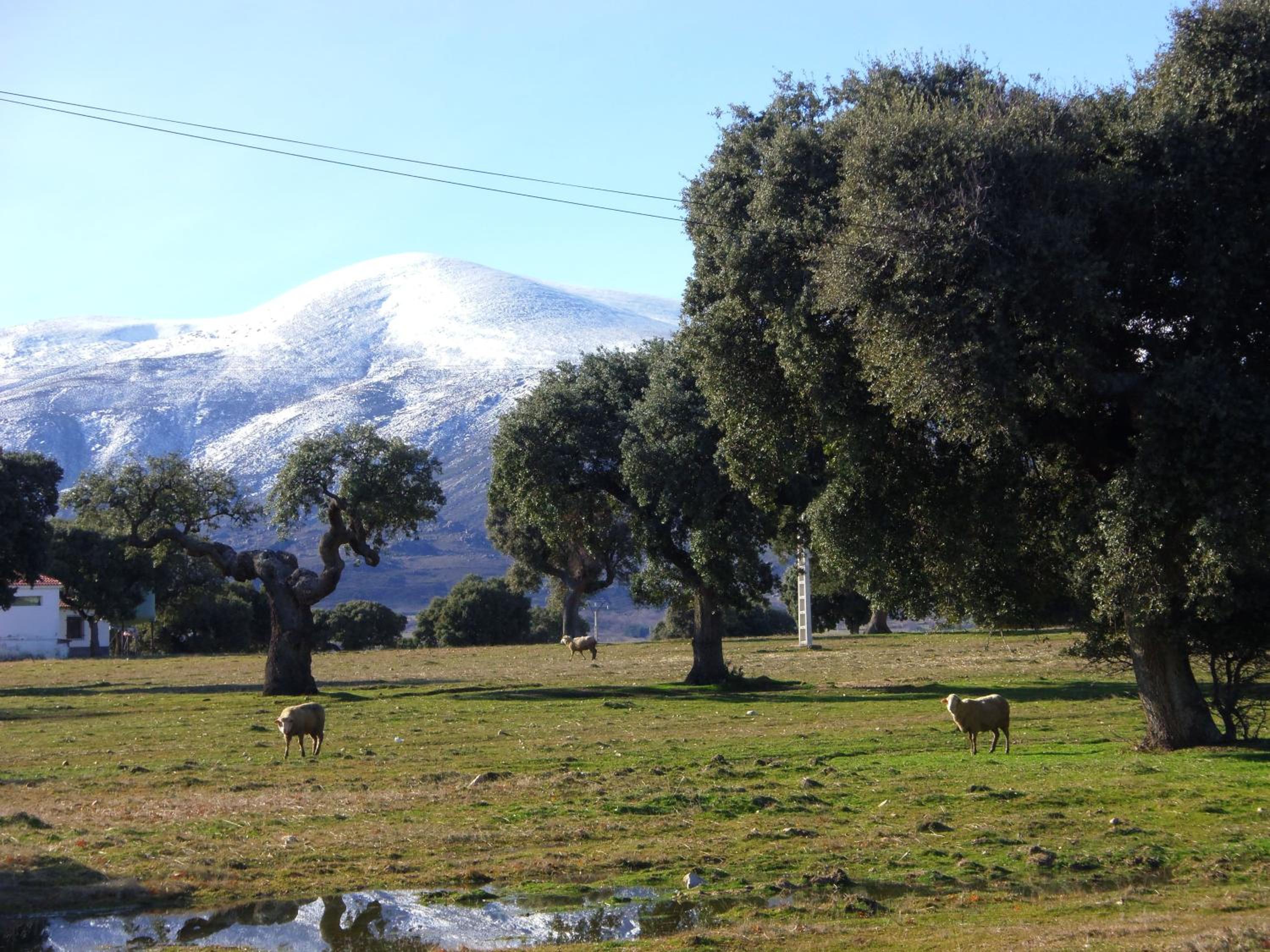 Photo 48