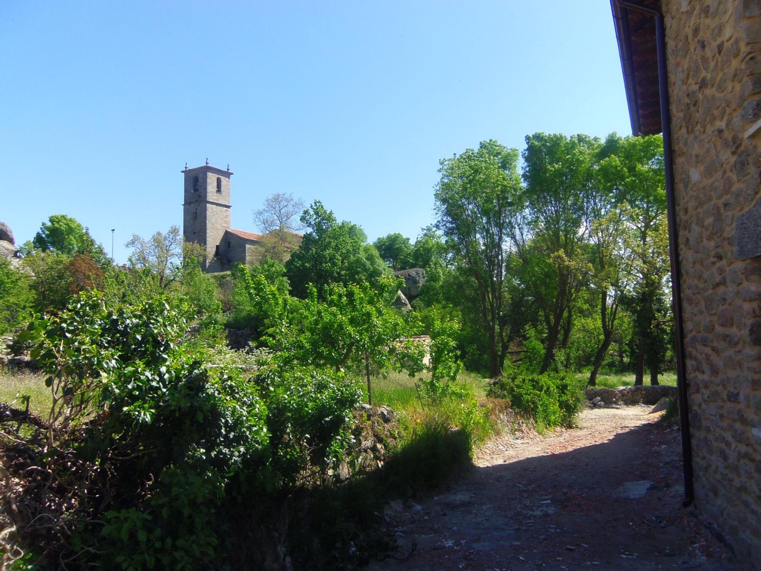 Photo 44