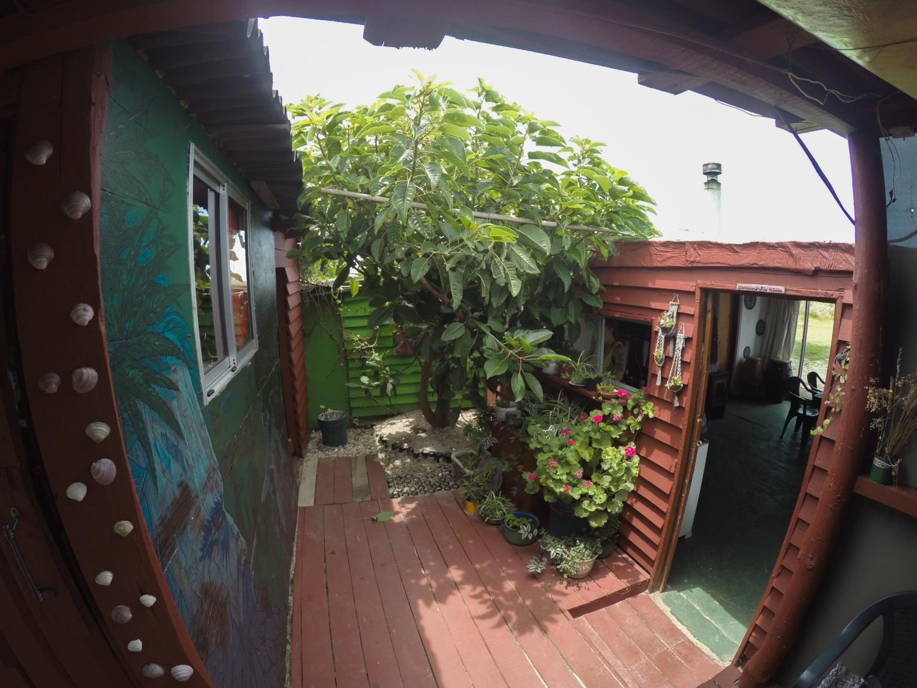 Photo 26