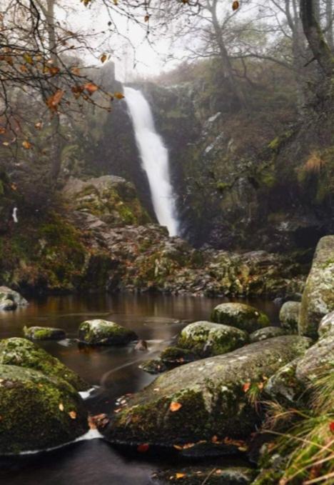 The Secret Wood Northumberland view 5