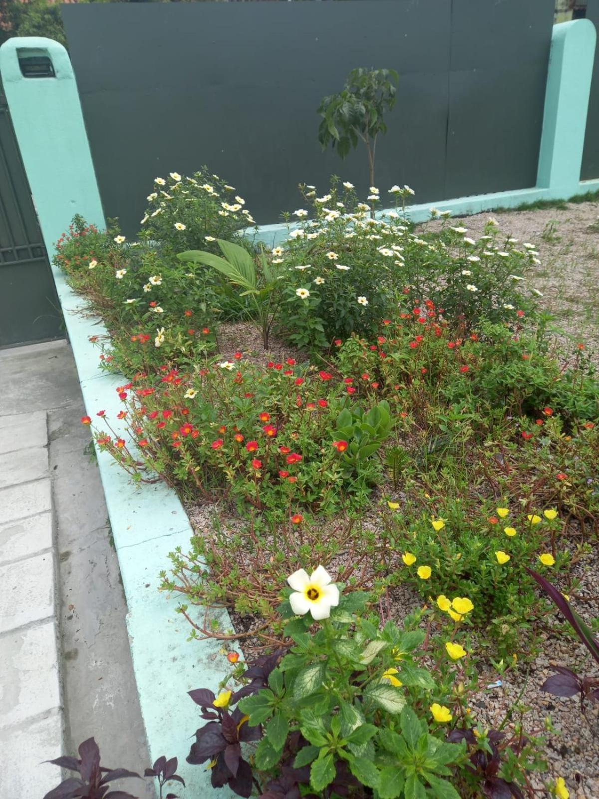 Jardim Paraíso