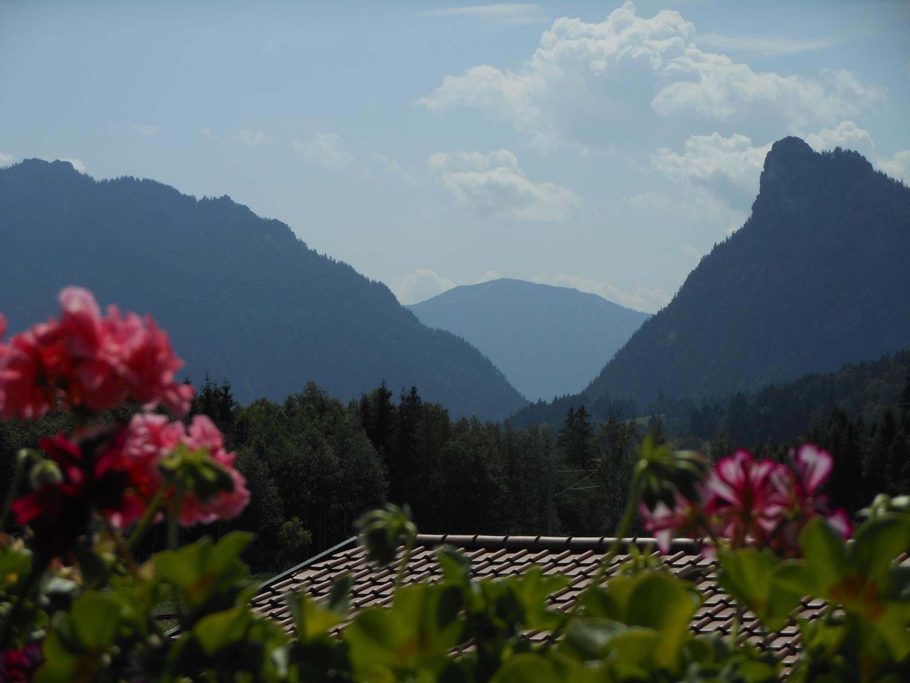 Apartment Kofelblick