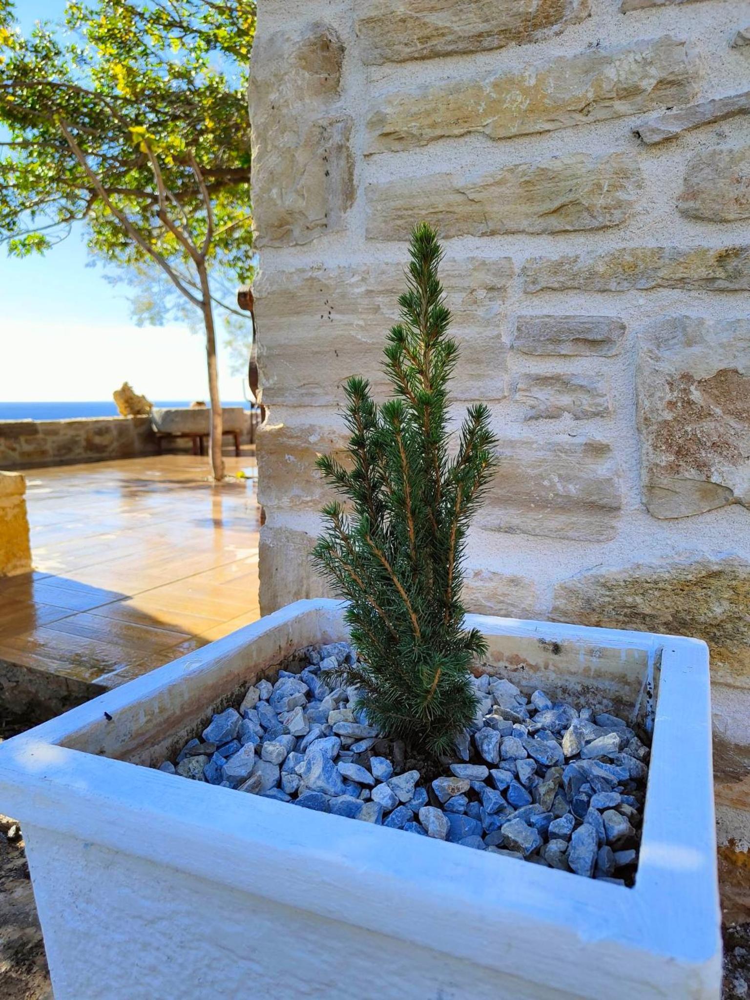 Vila Apostolis