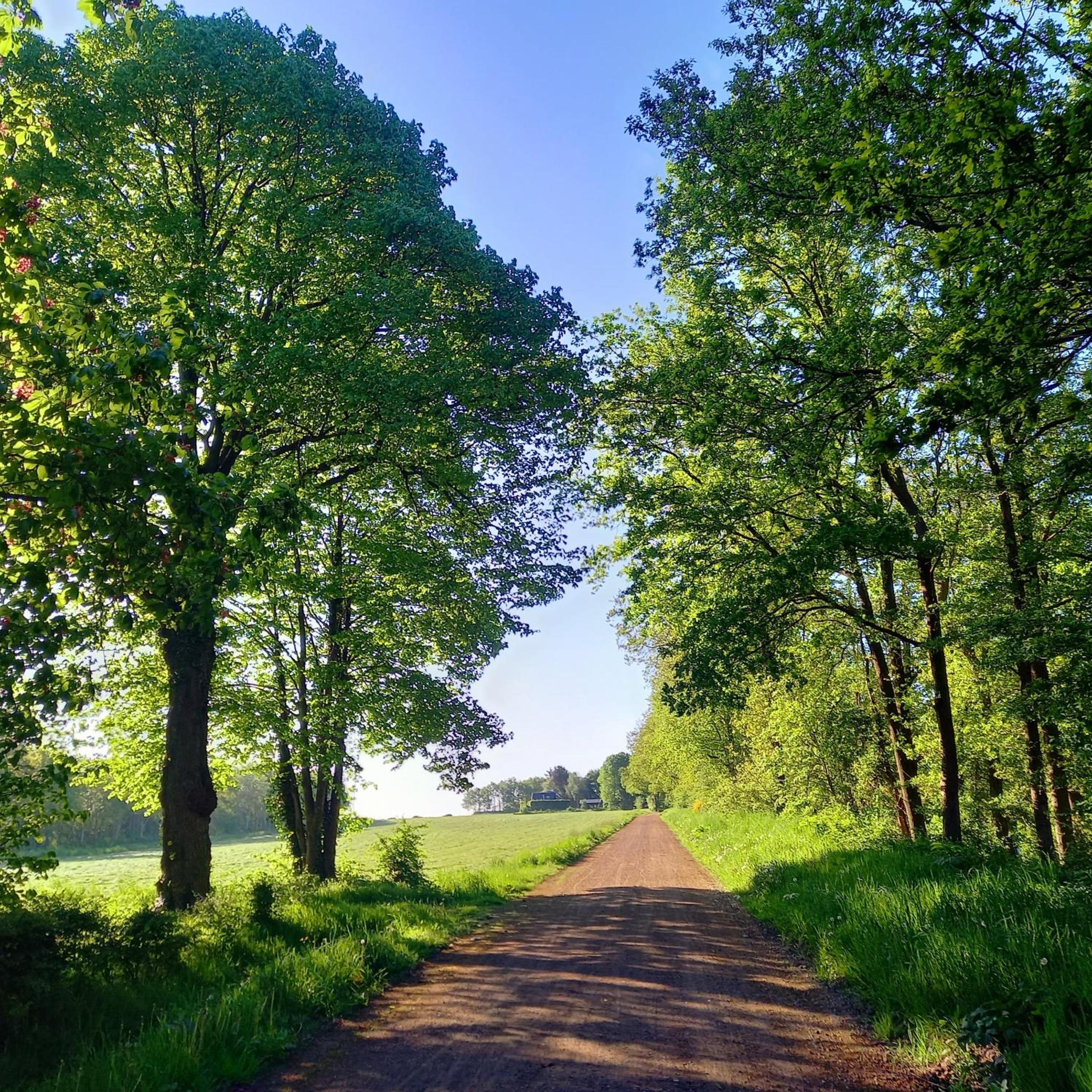 Natuurhuisje Wolterholten view 4
