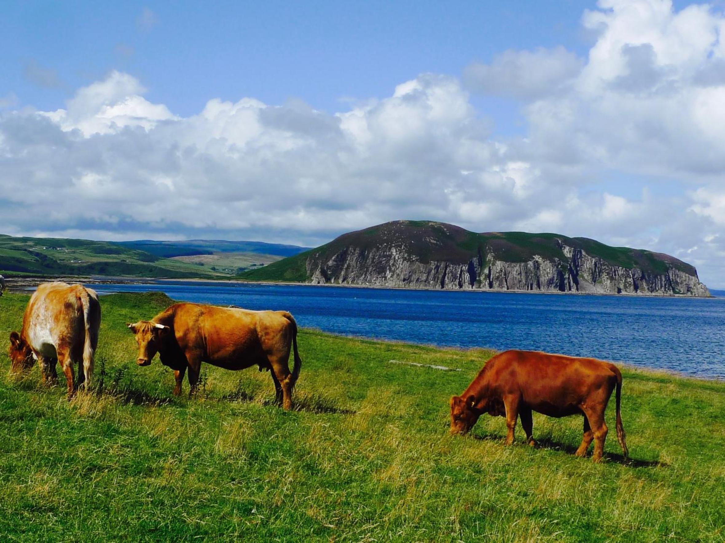 Rural Farmhouse on Kintyre, West Coast hidden gem view 2