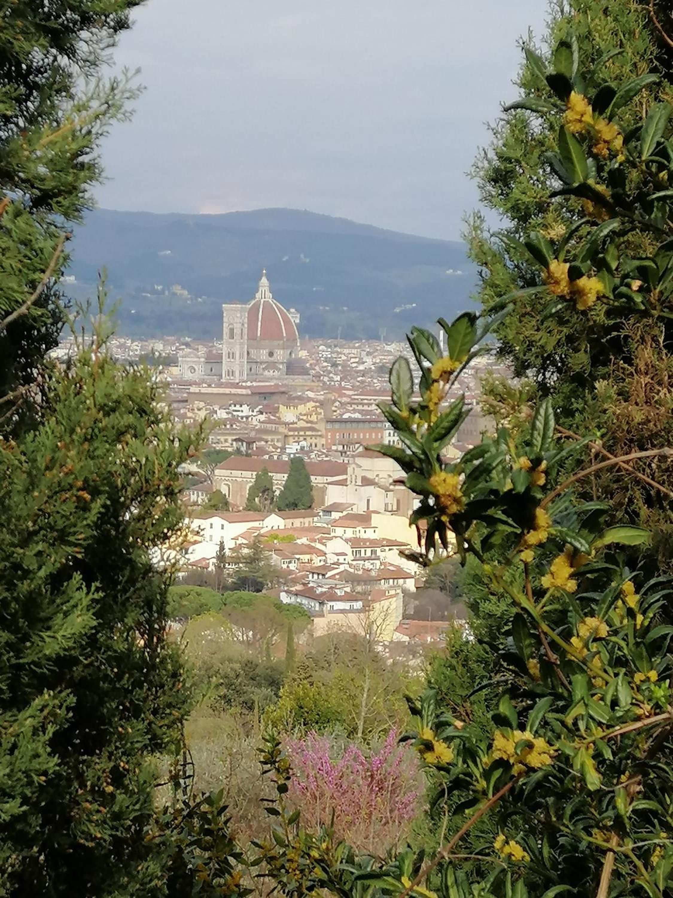 Florence Pitti Loft