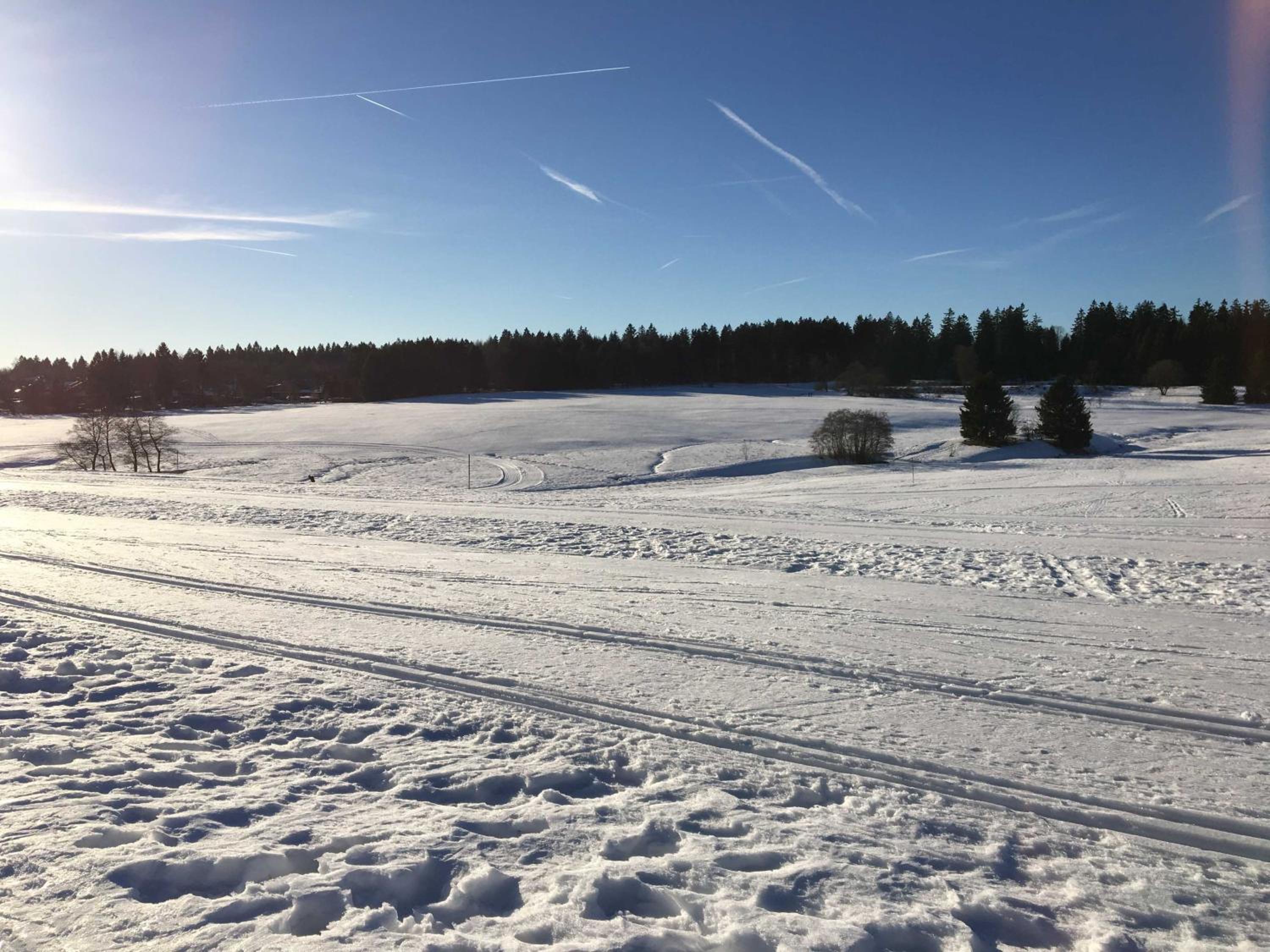 Privatvermietung Ina