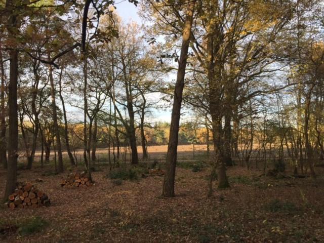 Vakantiewoning met vrij uitzicht aan de rand van natuurgebied 't Zand. view 4