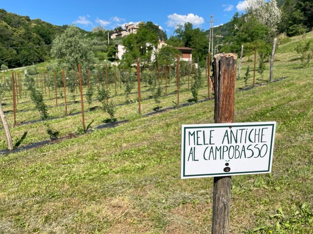 Agriturismo Fattoria Togonegro view 2