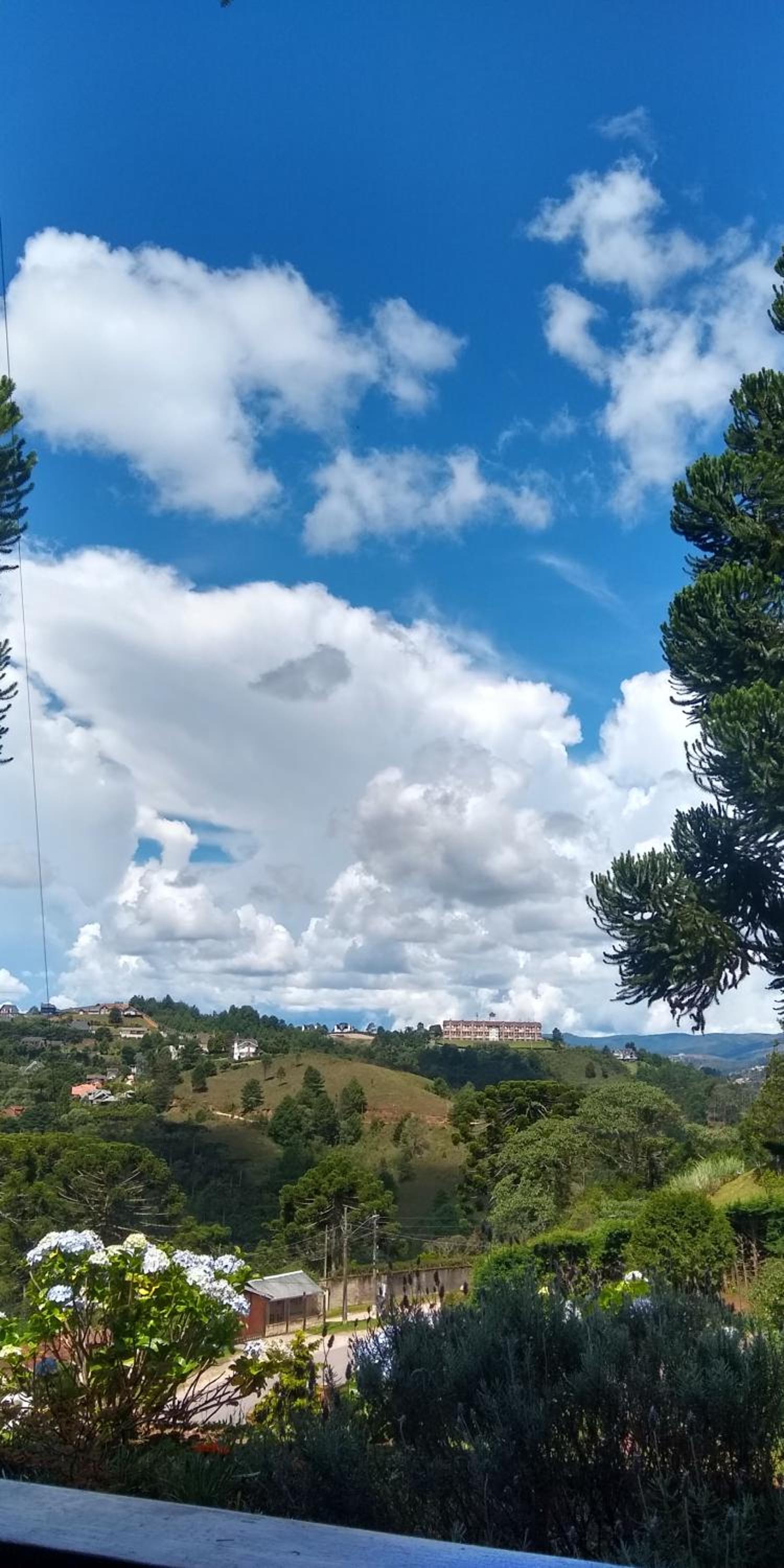 Chalé Alecrin, lançamento em conforto e estilo!