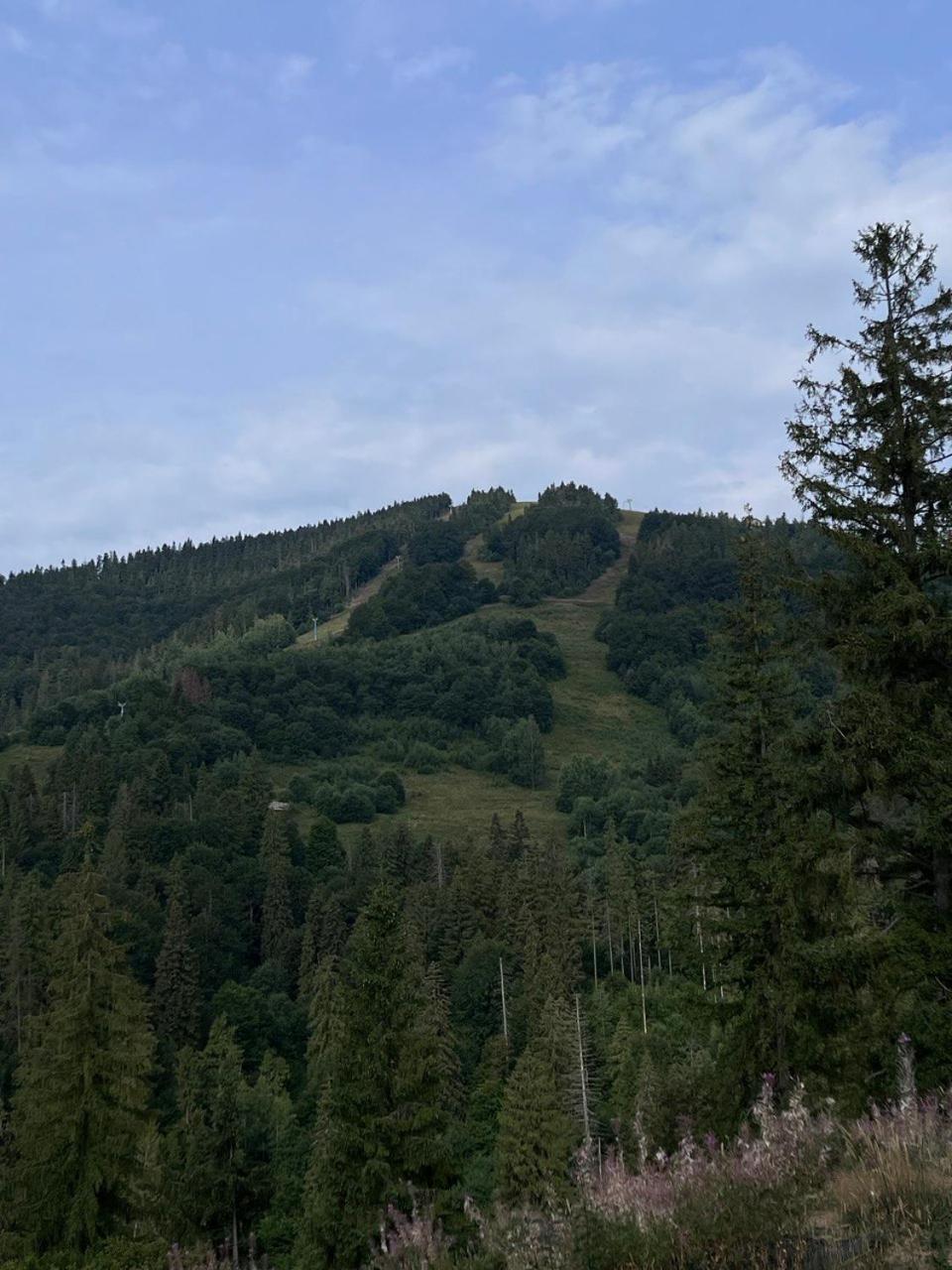 Hillside