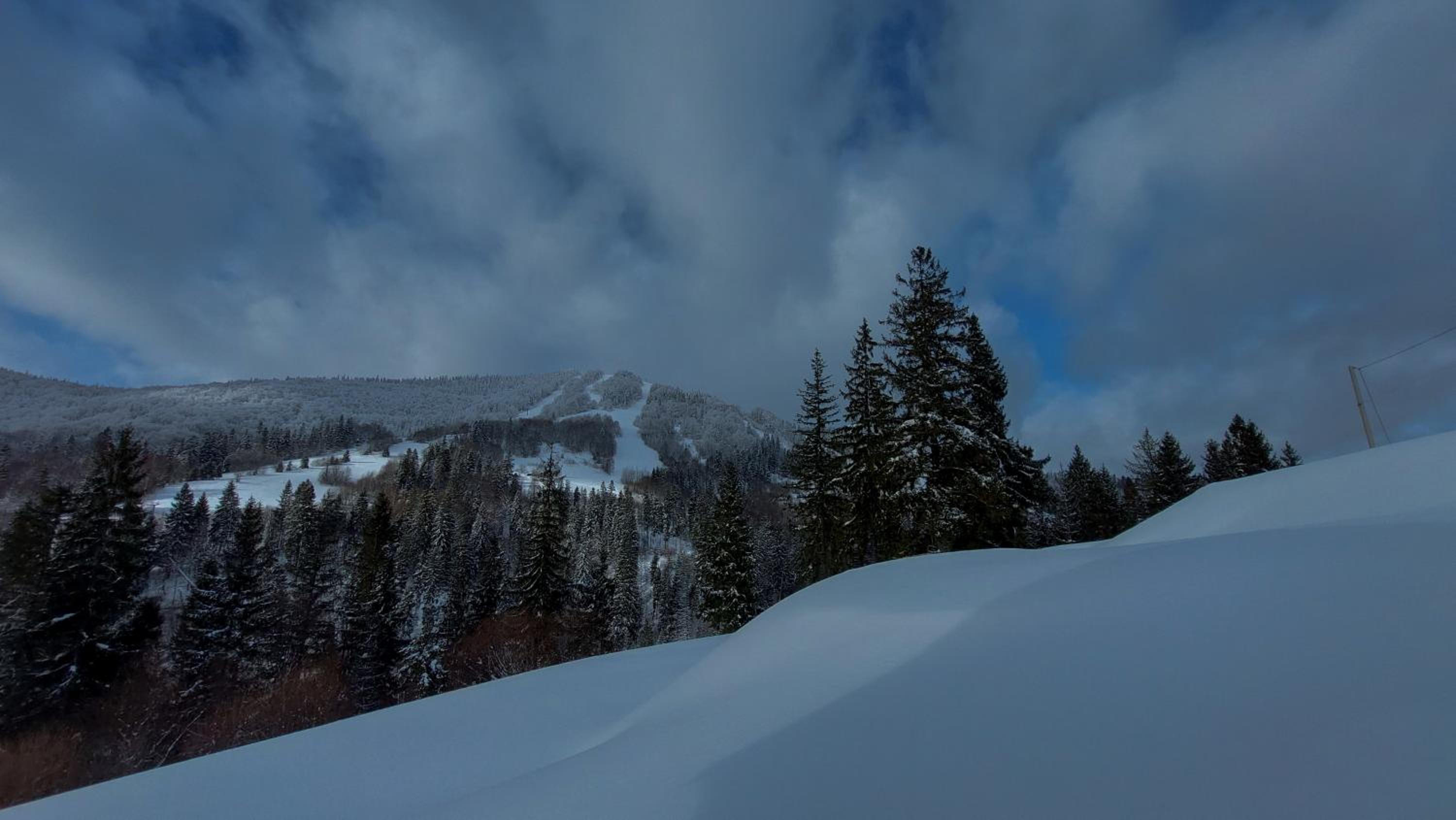 Hillside