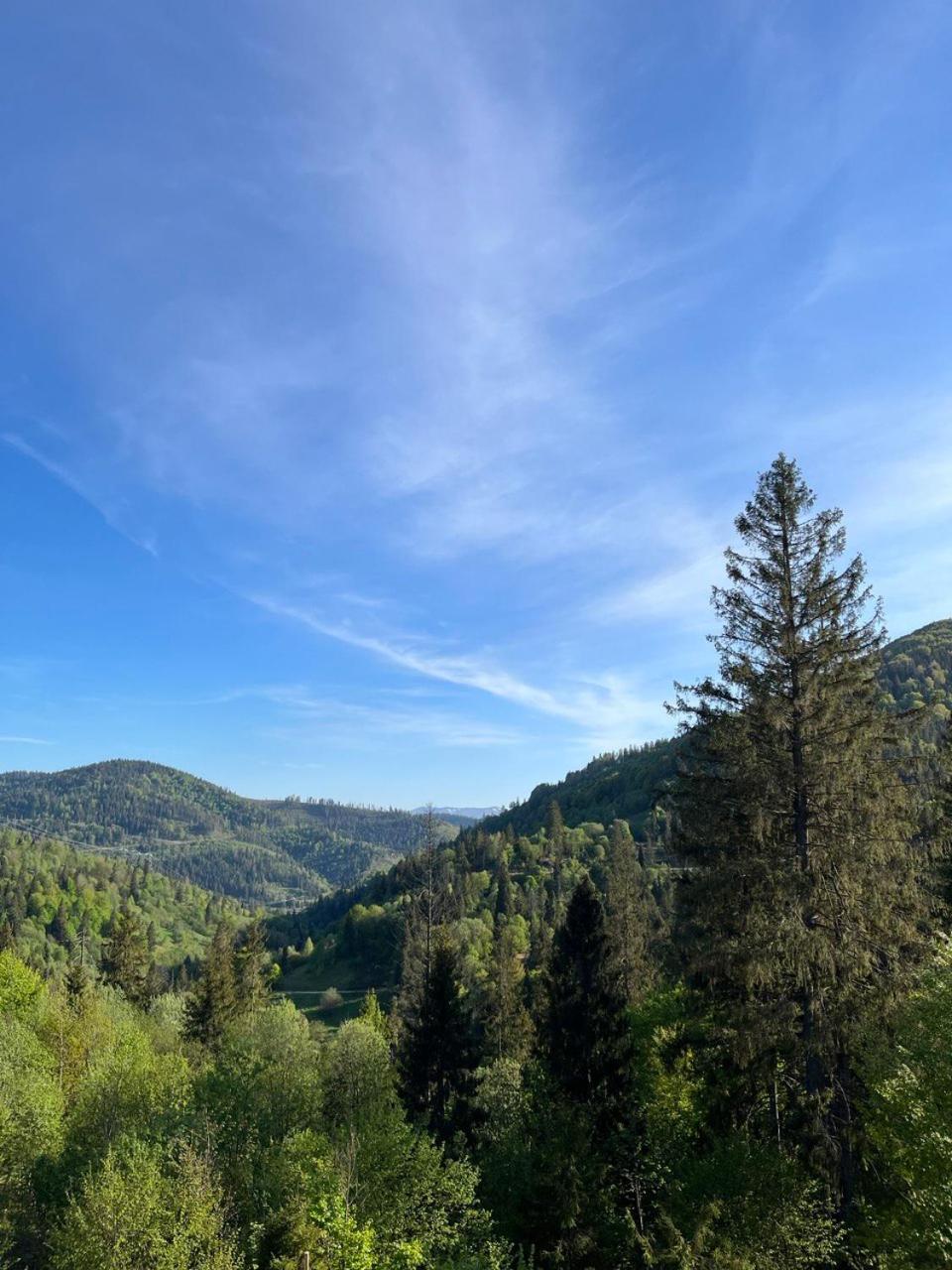 Hillside