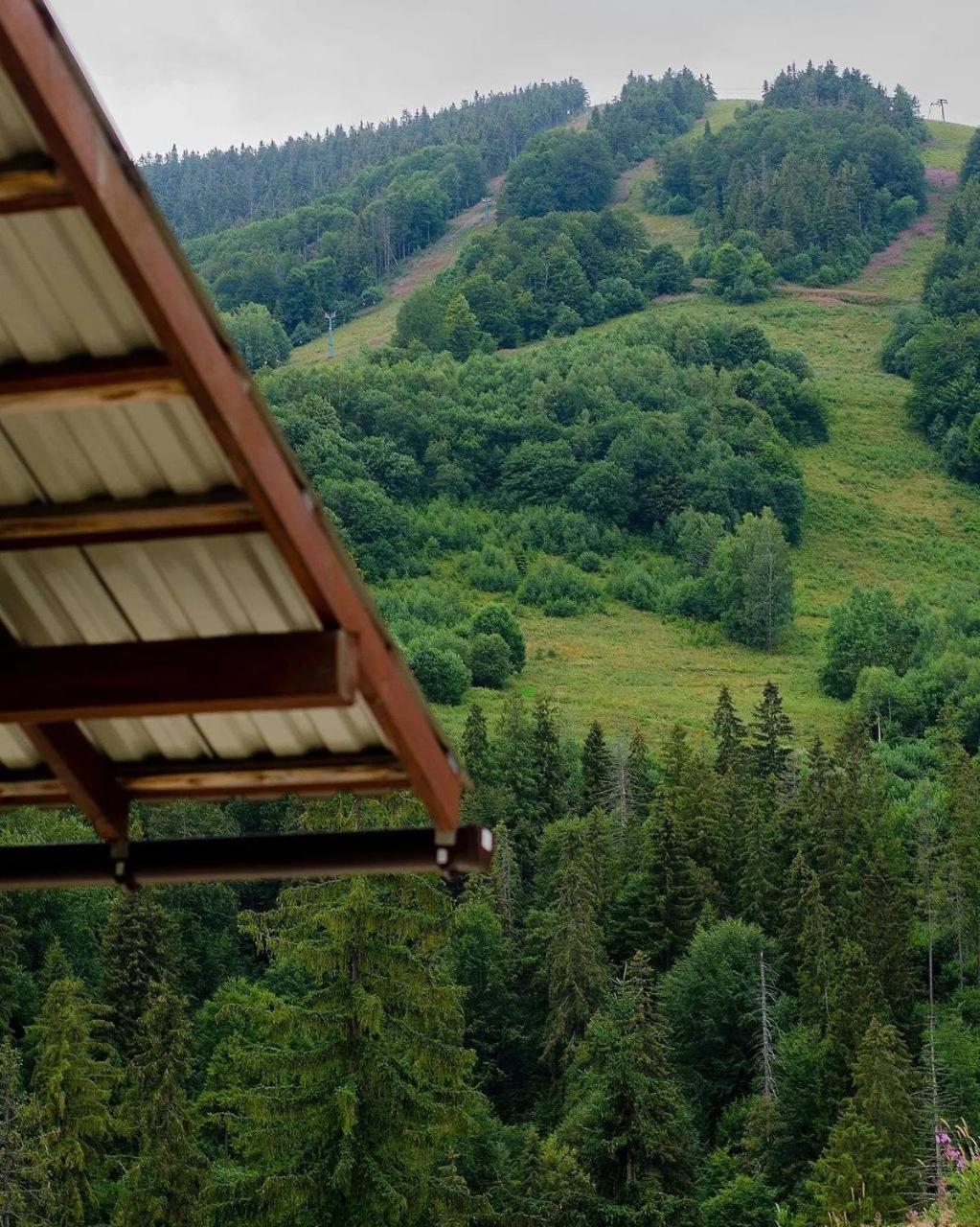 Hillside