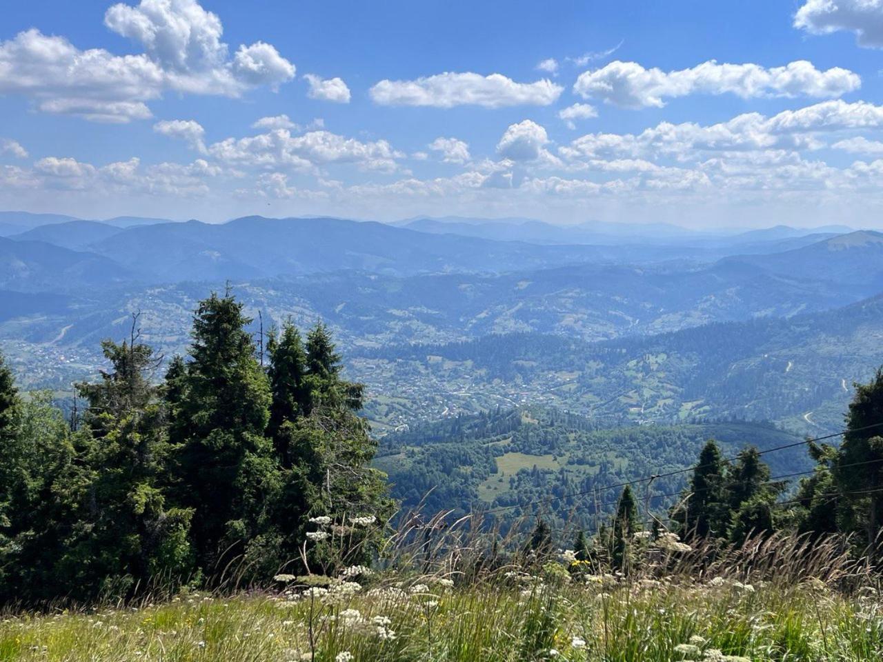 Hillside