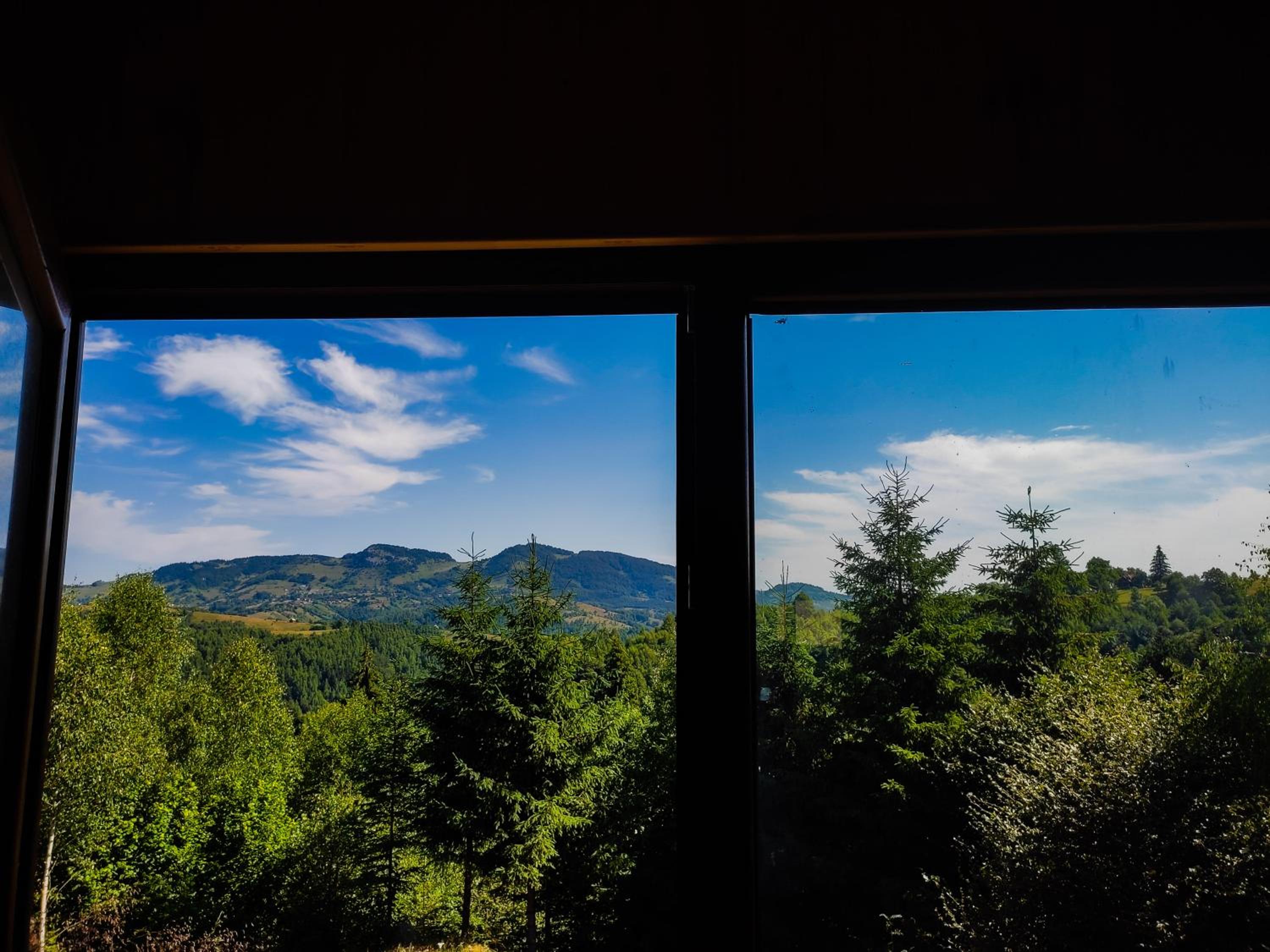 Cabana doi mesteceni