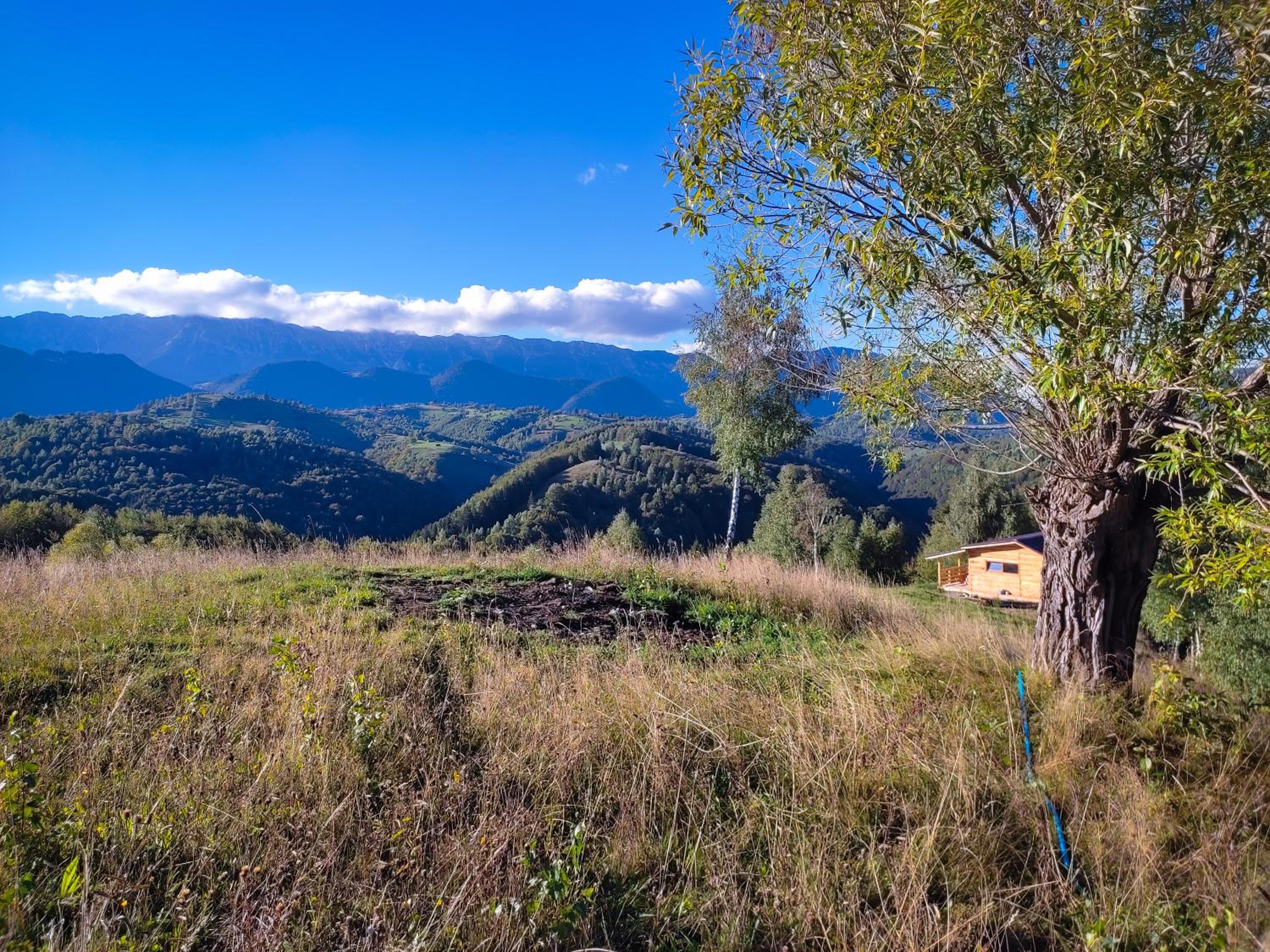 Cabana doi mesteceni