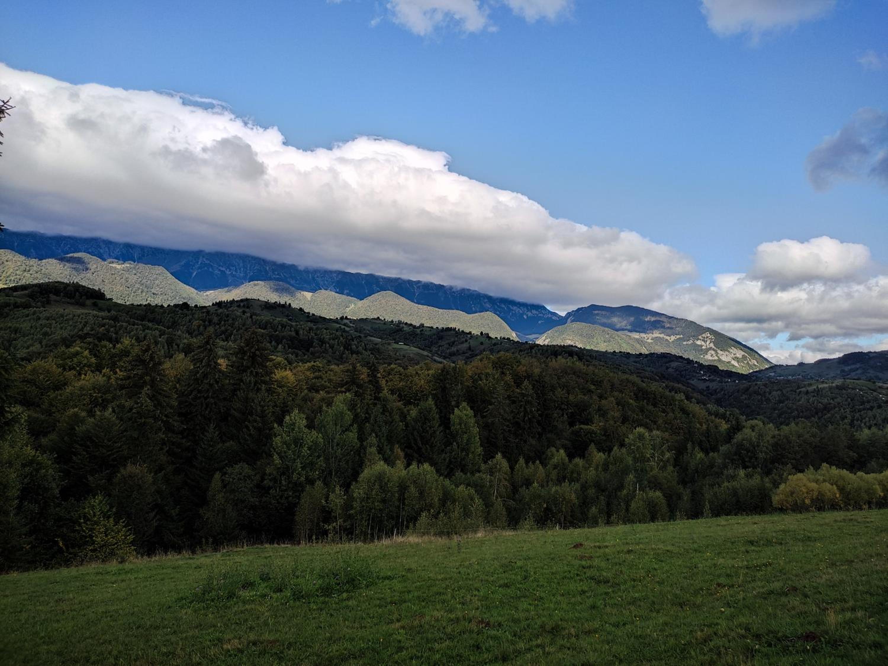 Cabana doi mesteceni