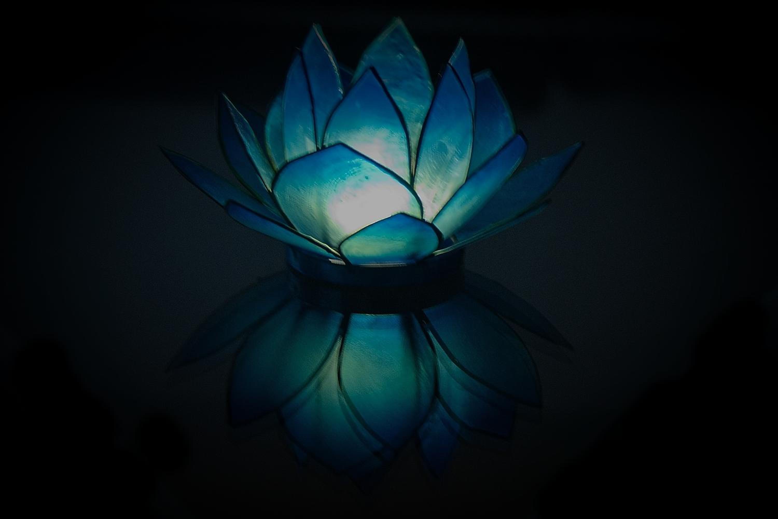 Blue Lotus Apartment
