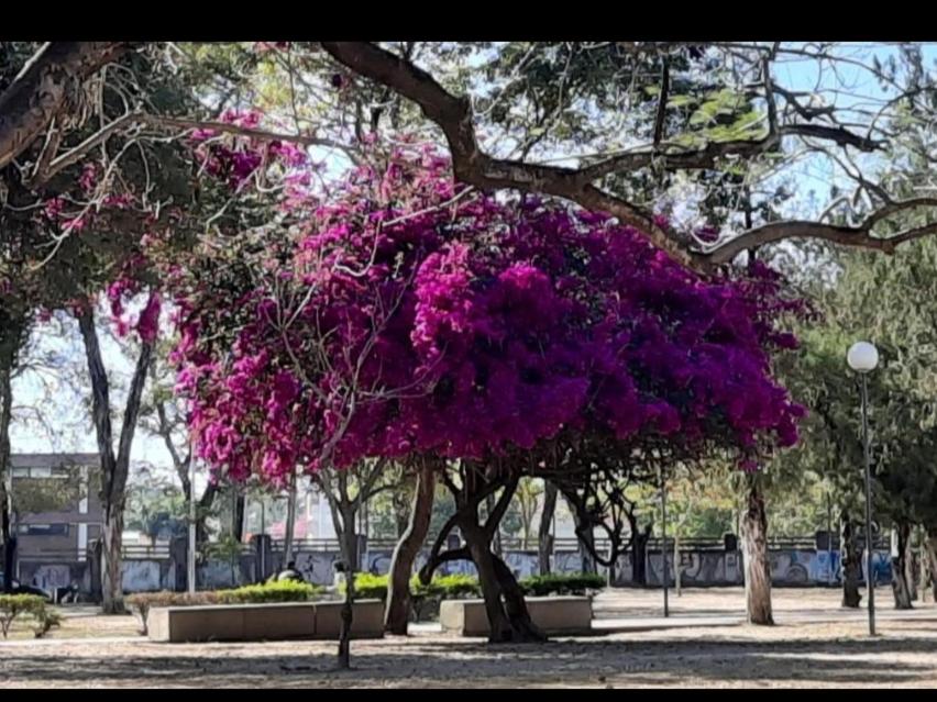 del PARANA