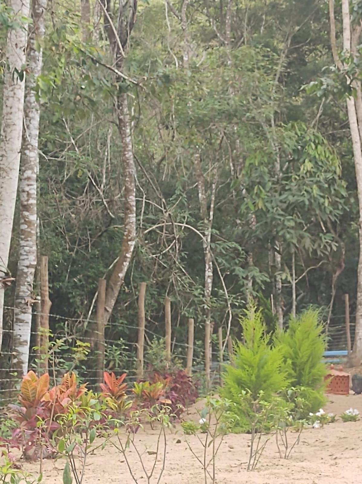 CASA DE CAMPO Banheira, Lareira e Cachoeira