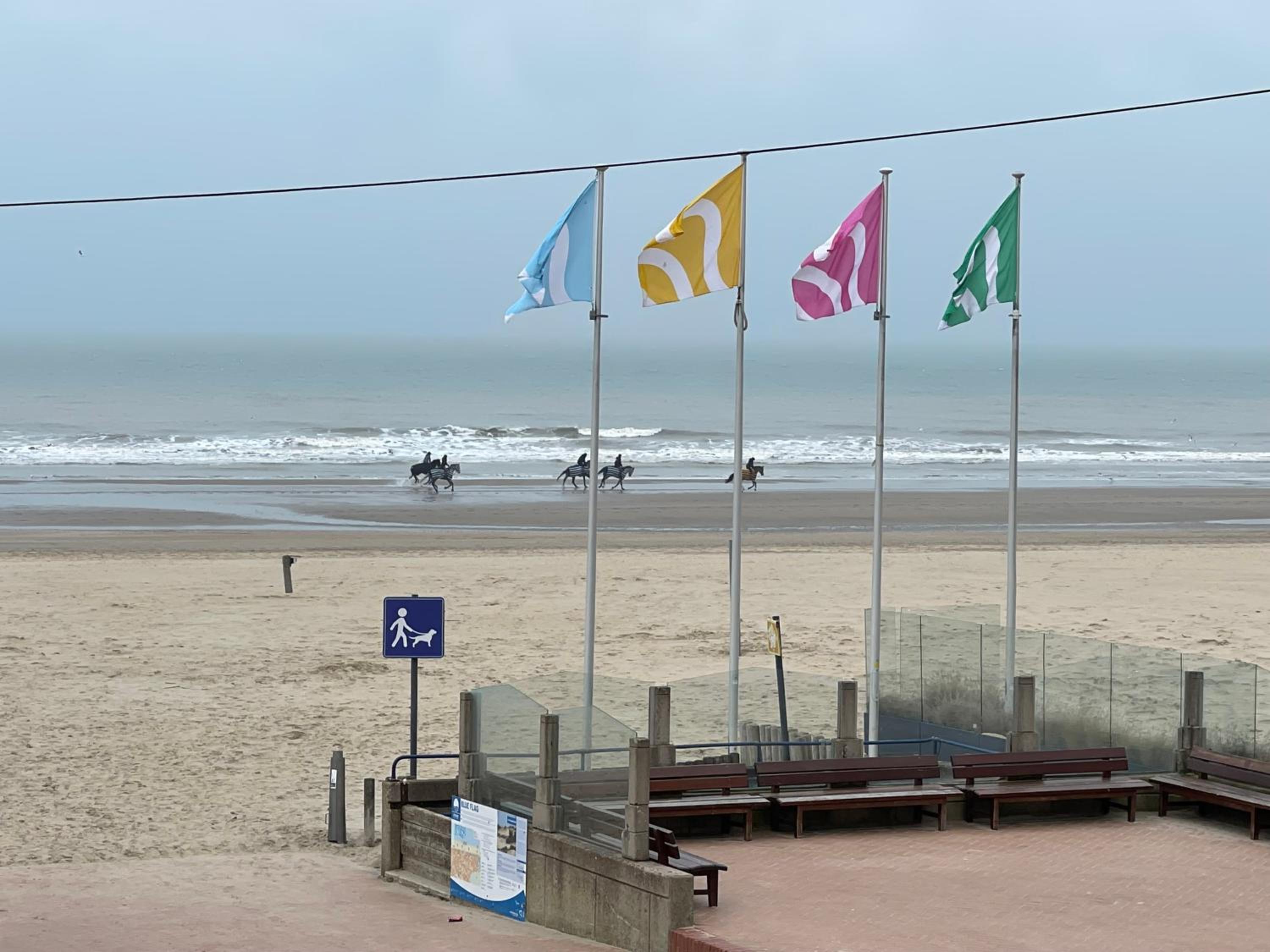 Seaview Terlinck II - Luxe hoekappartement met zeezicht 6 personen