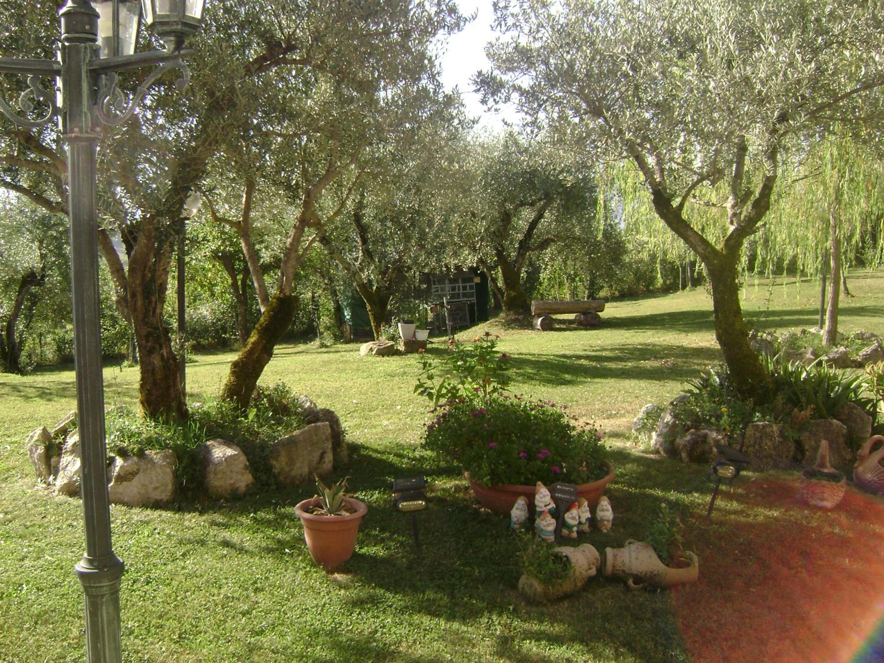 The Wishing Well view 5