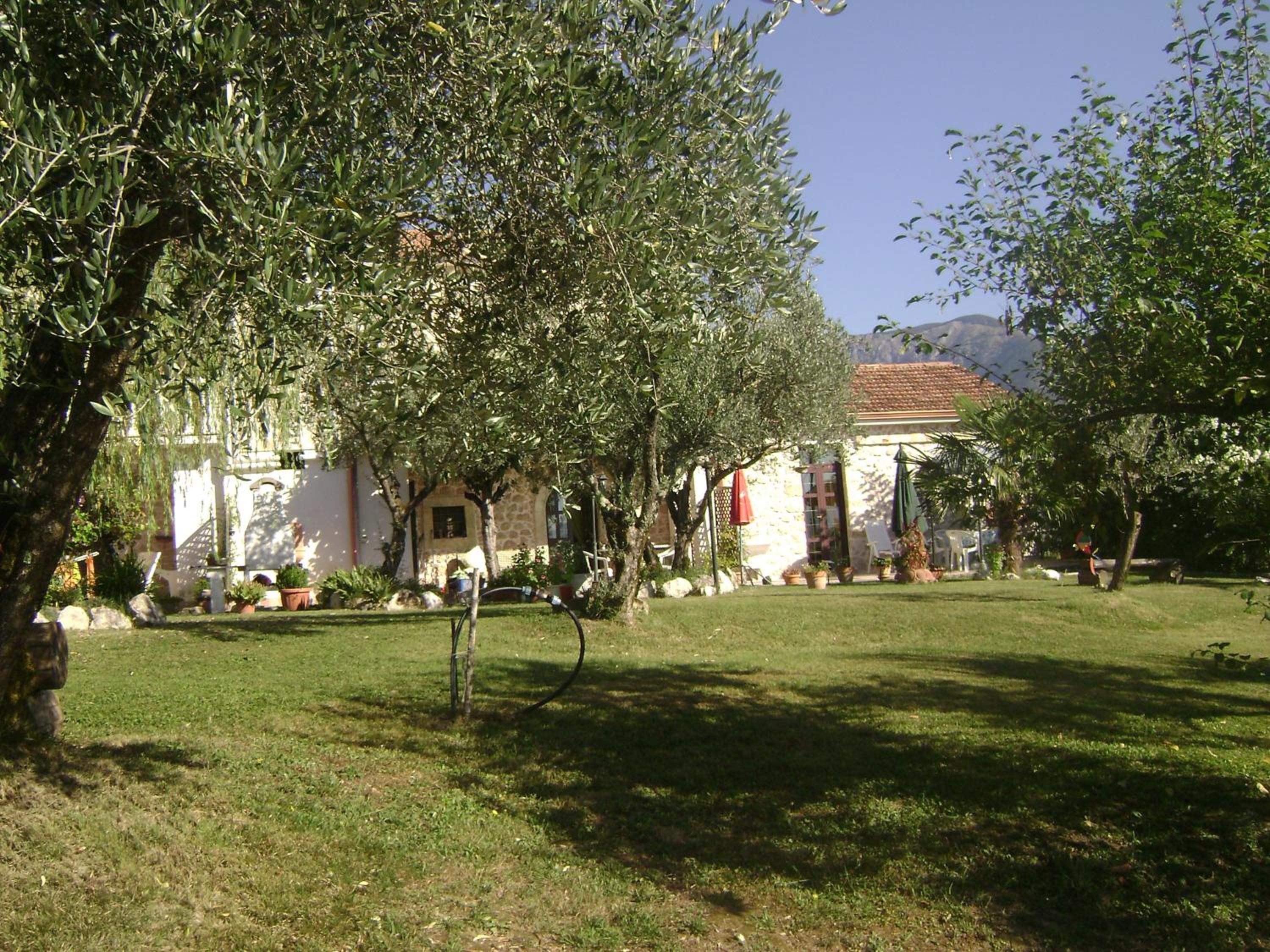 Photo 17