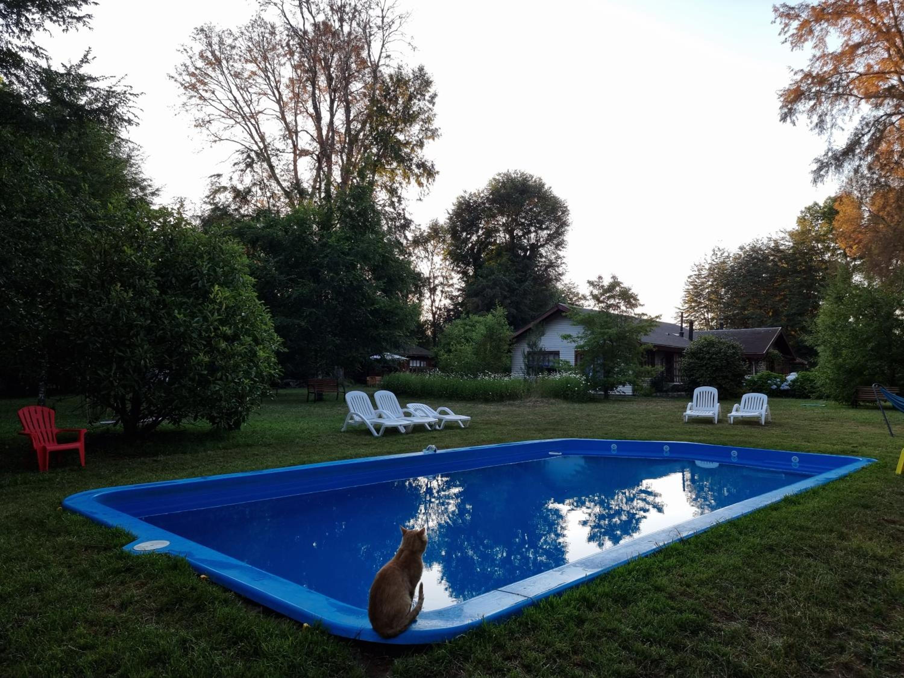 La Casa del Árbol Villarrica Cabañas-Piscina-Tinajas