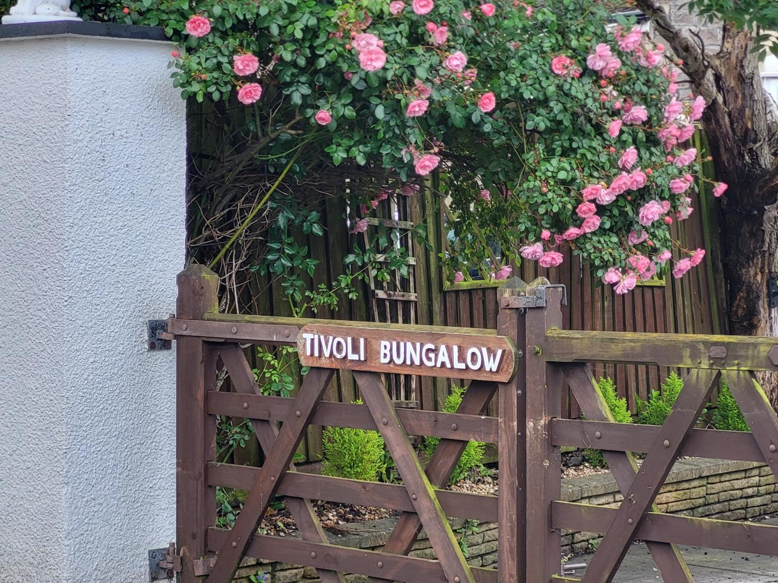 Tivoli Bungalow view 3