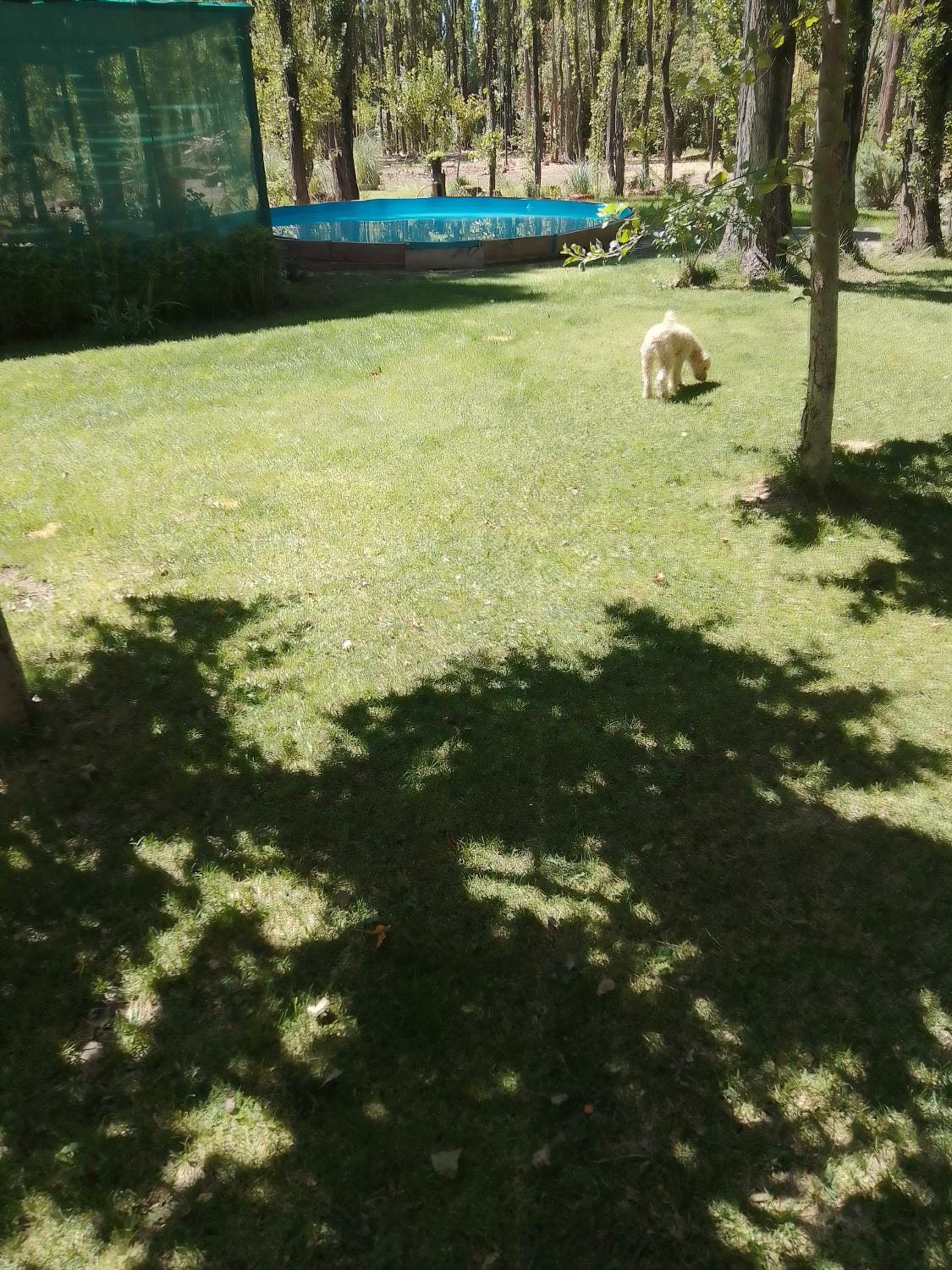 Nuestro Hogar