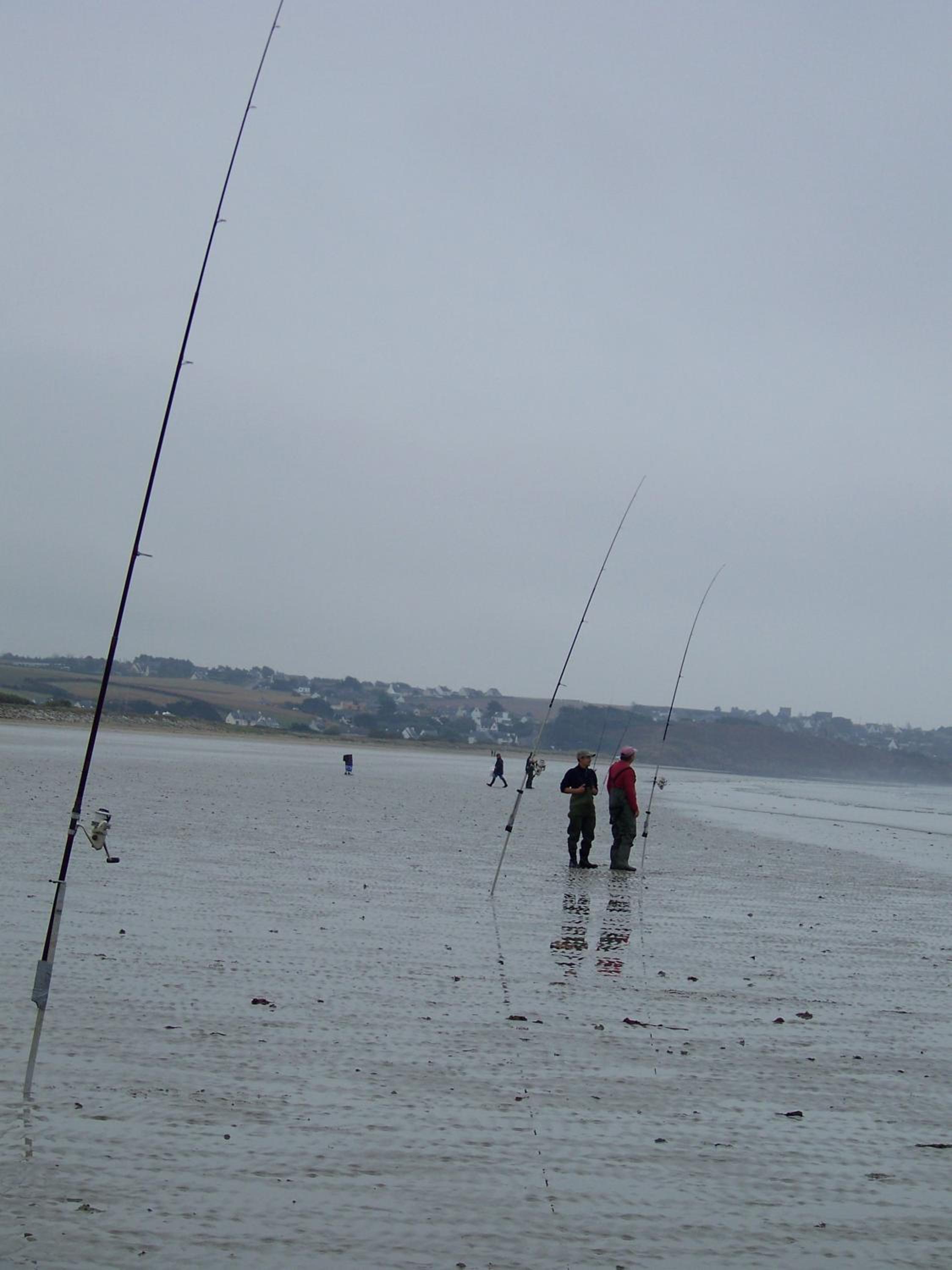 Photo 41