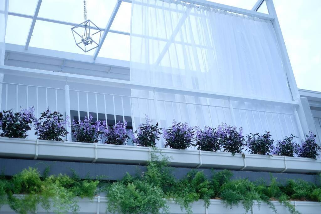 Comfy Sofy 23- Balcony Garden (Night market) photo 1