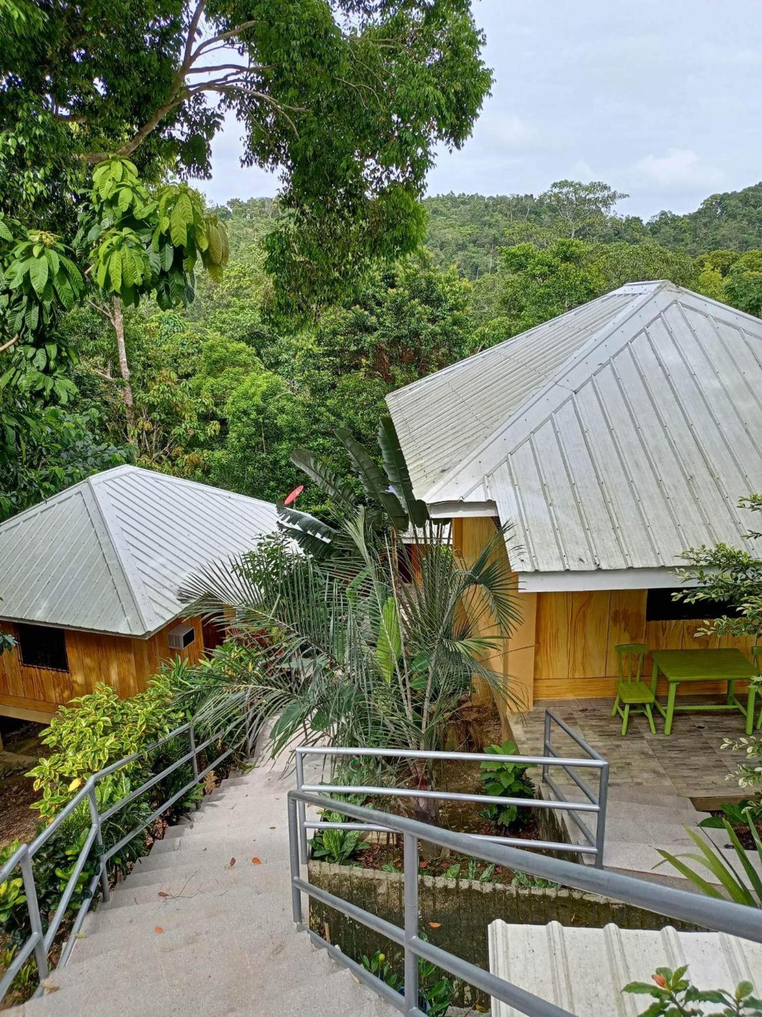 Woodland Inn view 3