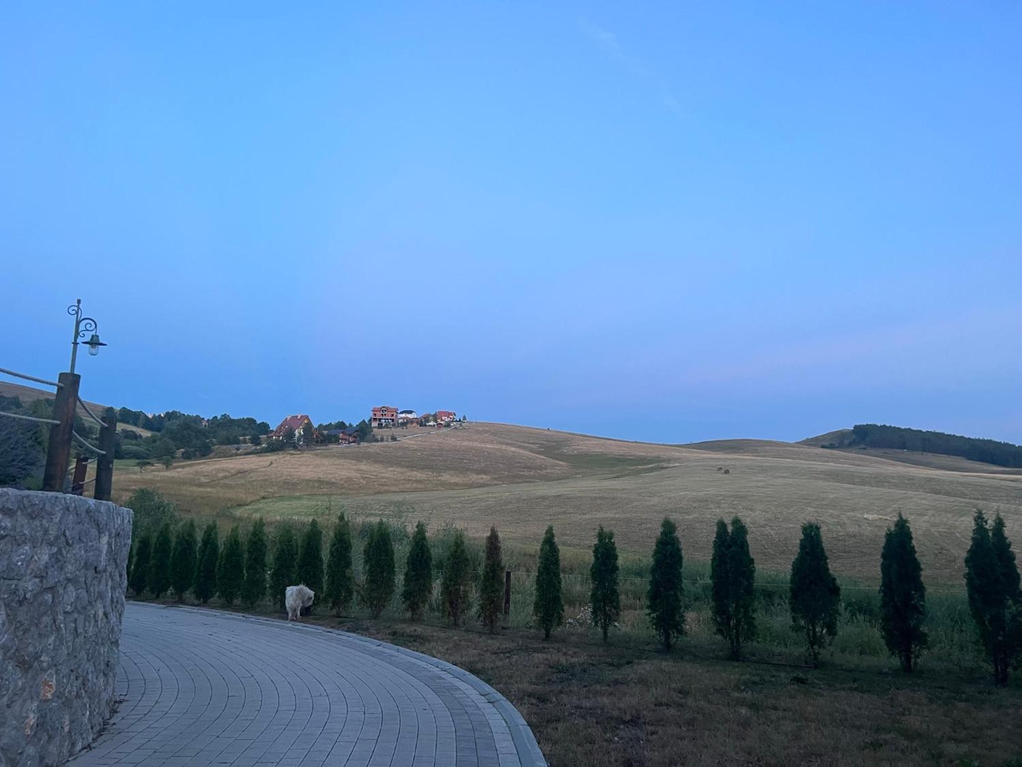 Big Sky Apartman - Zlatibor view 3