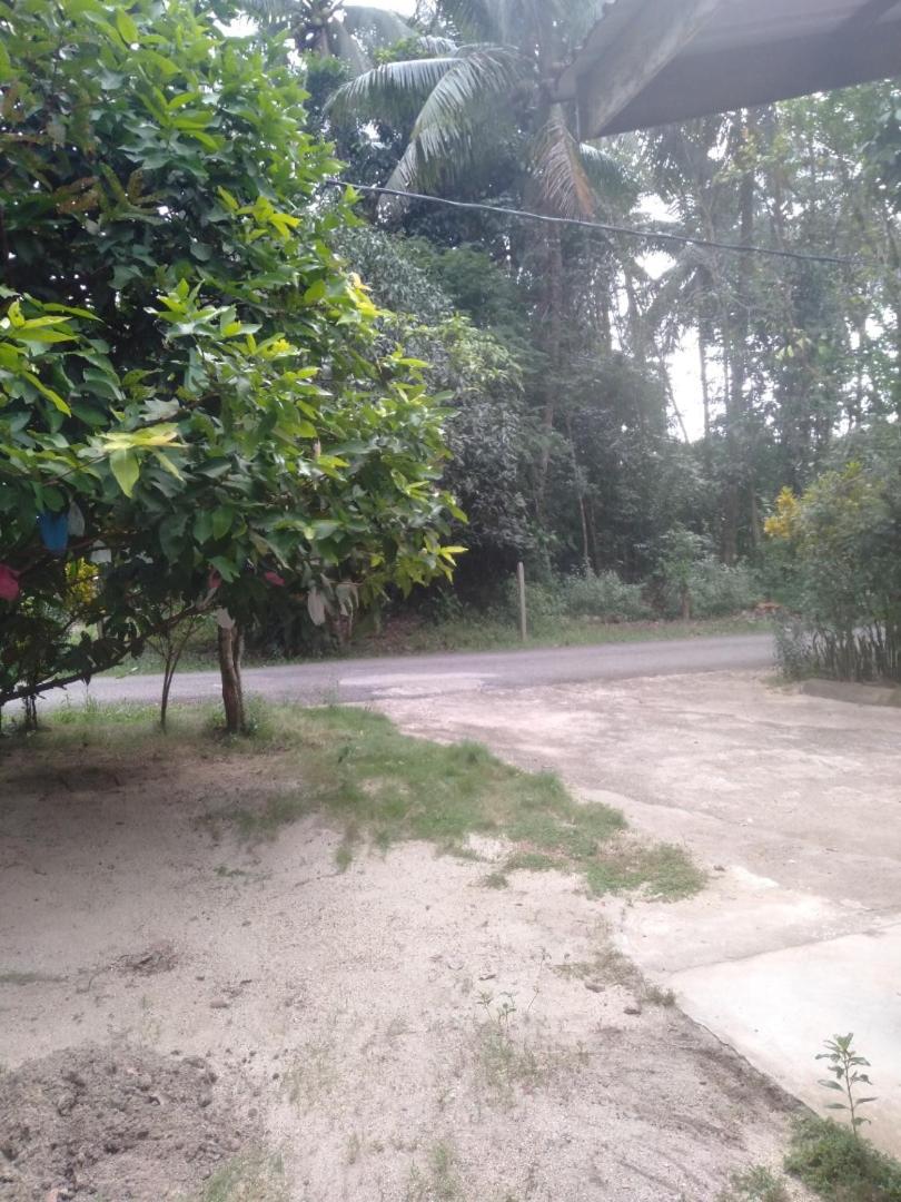 Layya Homestay photo 1