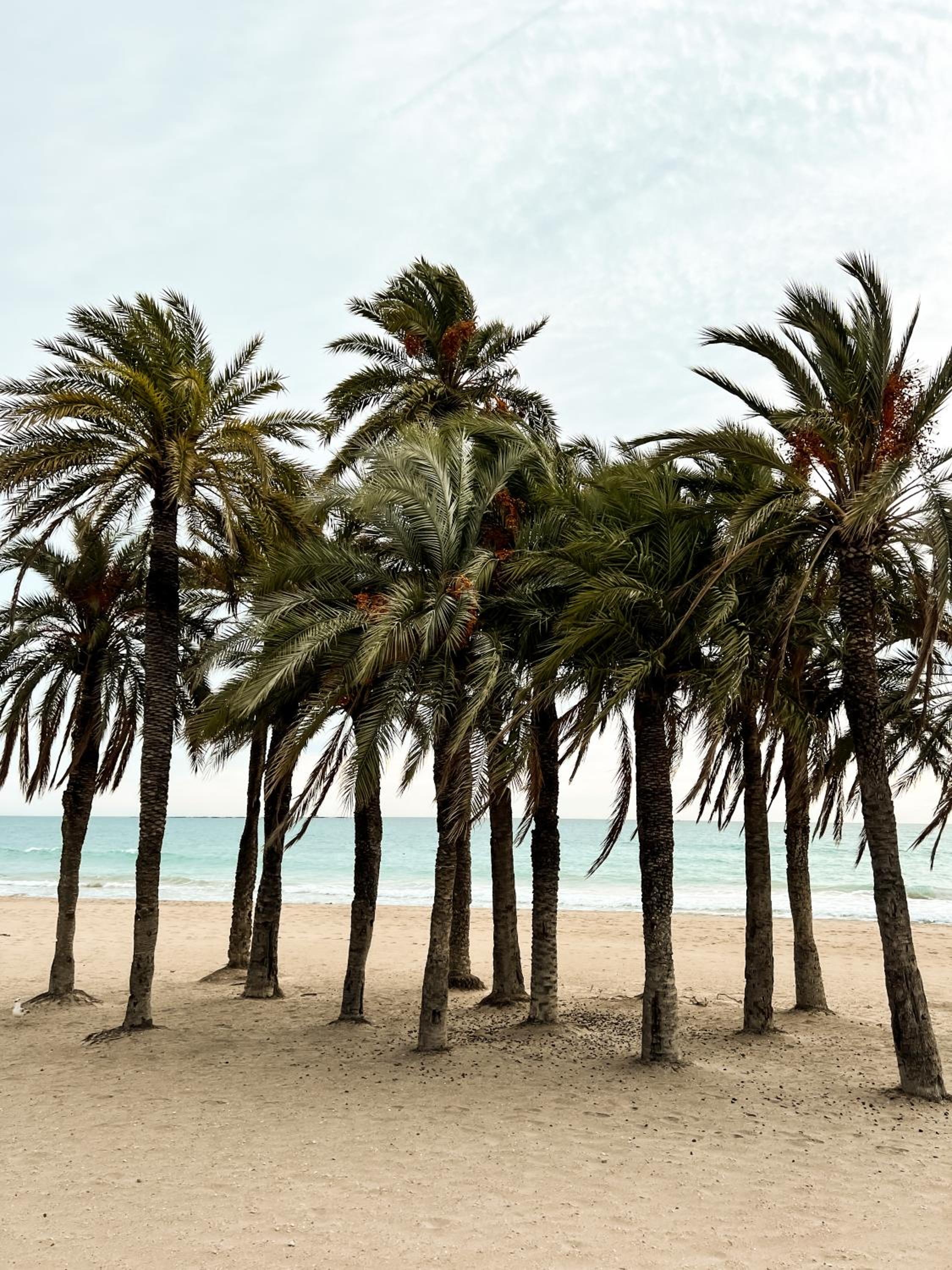 LOVPLAYA Almuñecar Beach Apartment
