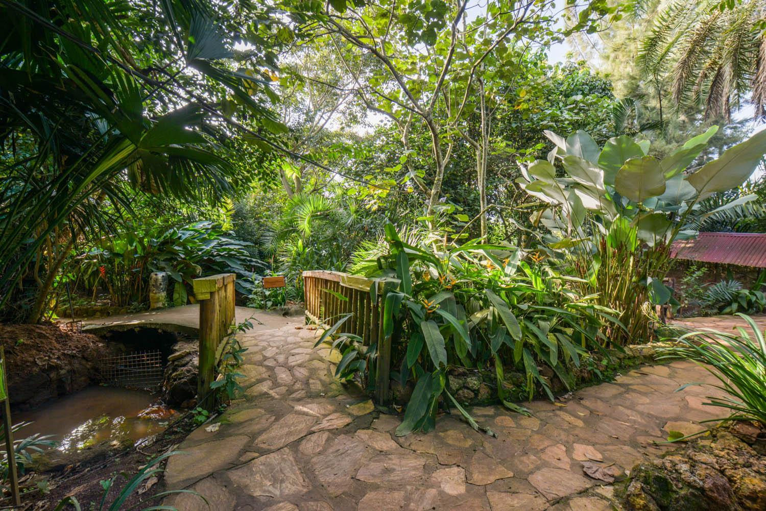 Malakai Eco Lodge