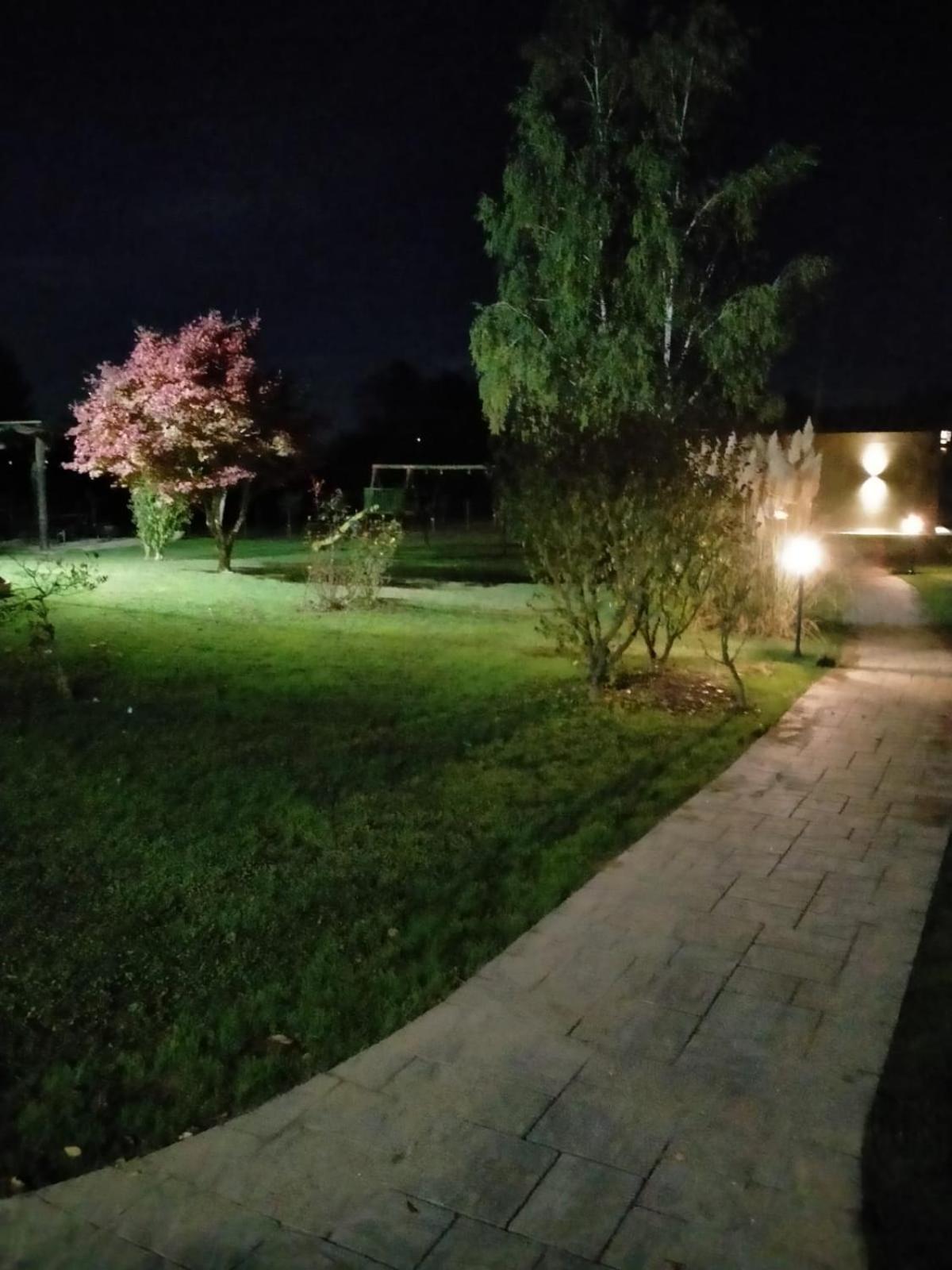 Photo 54