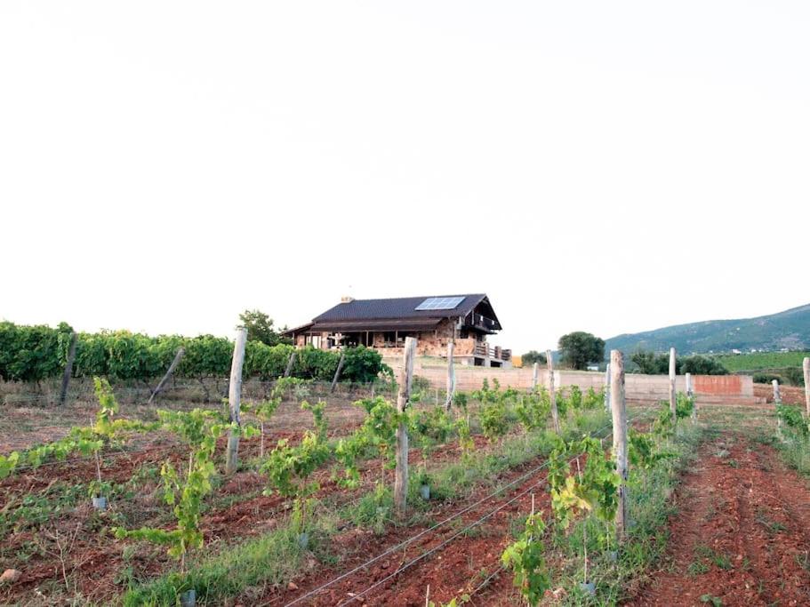 Spacious rustic country house with sea view view 3