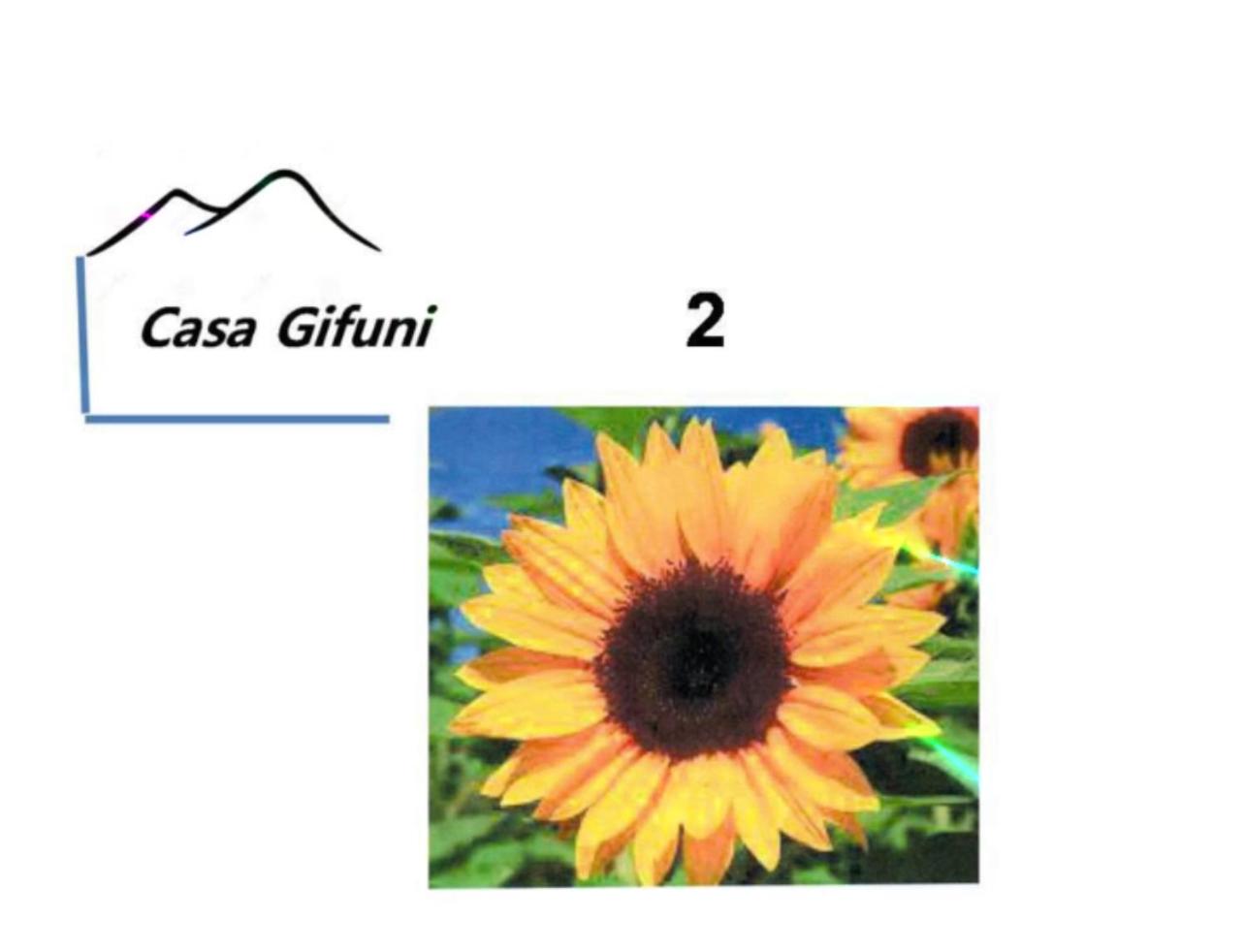 Casa Gifuni