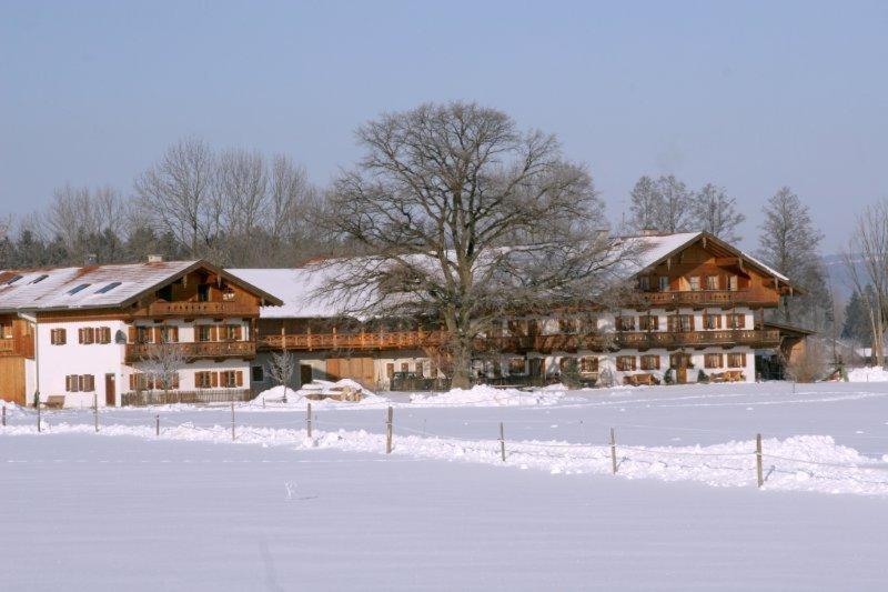 Braunhof