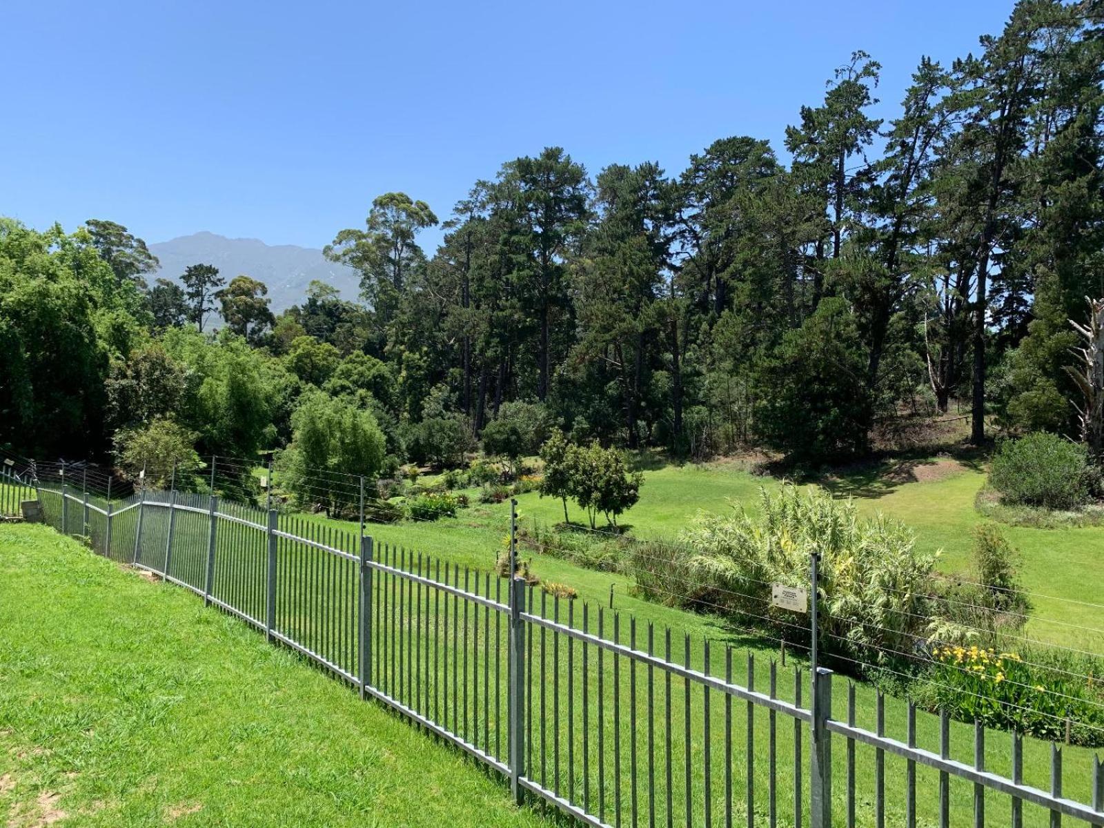 96 Meent Guesthouse view 3