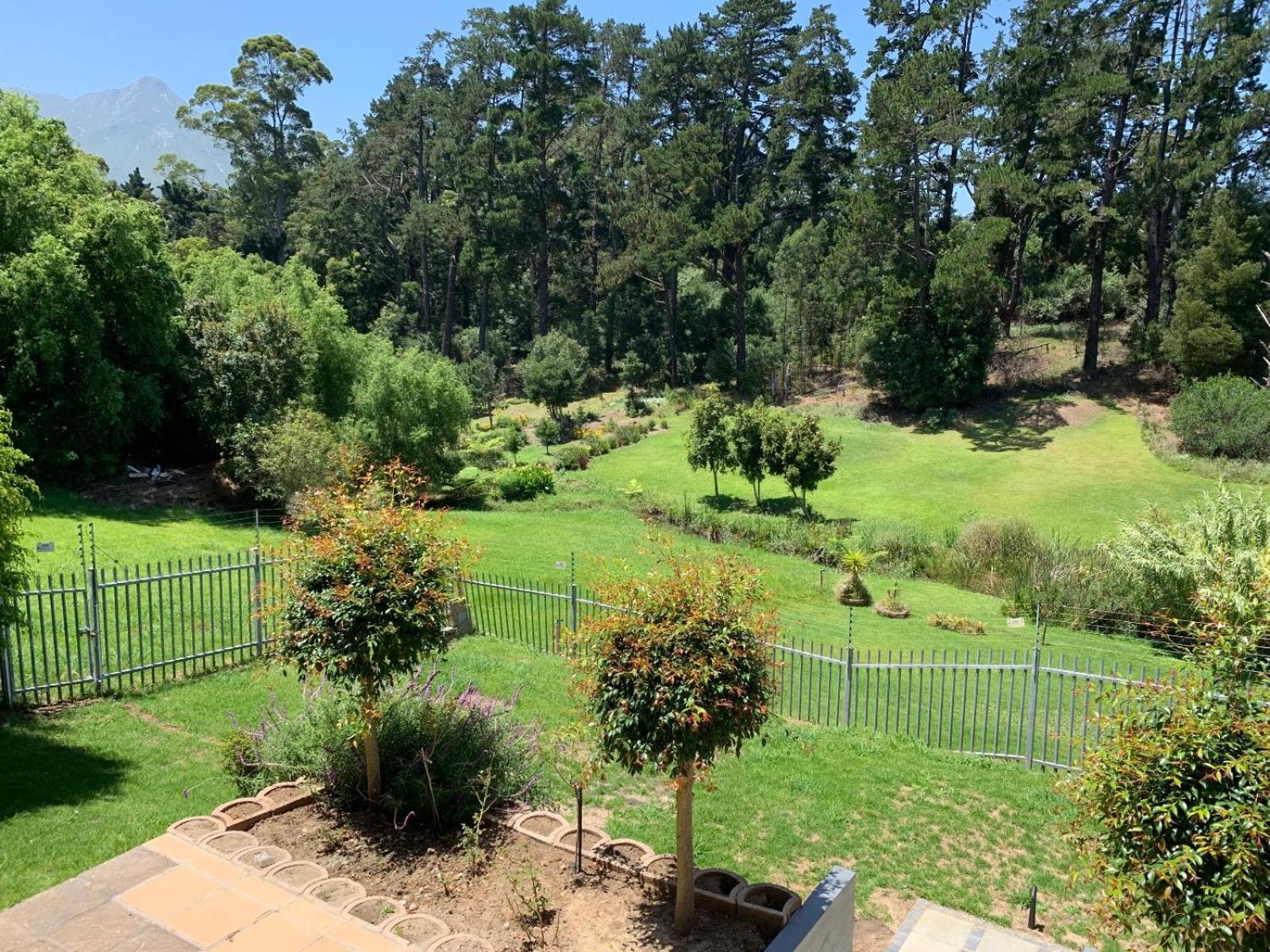 96 Meent Guesthouse view 4
