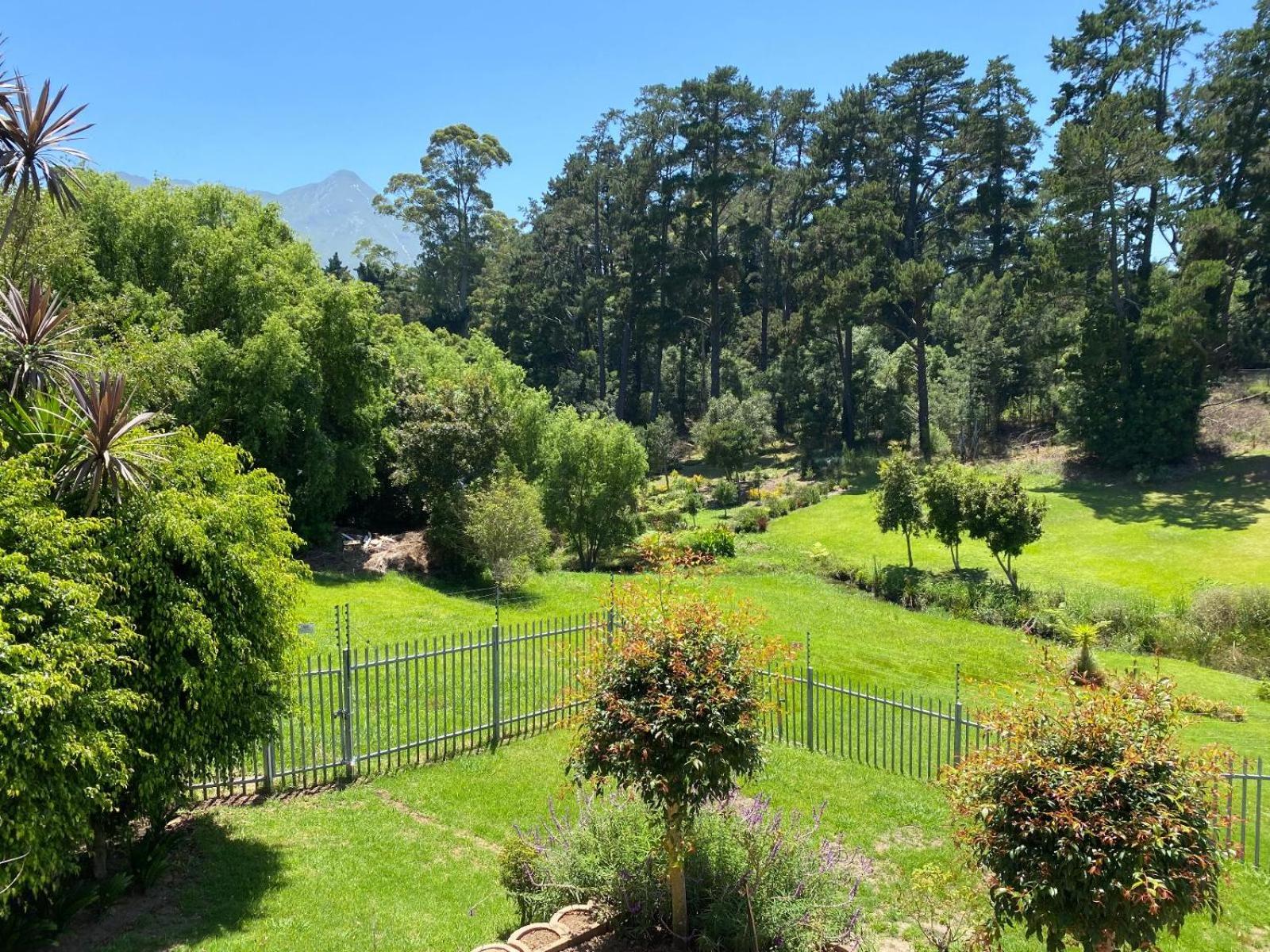 96 Meent Guesthouse view 5