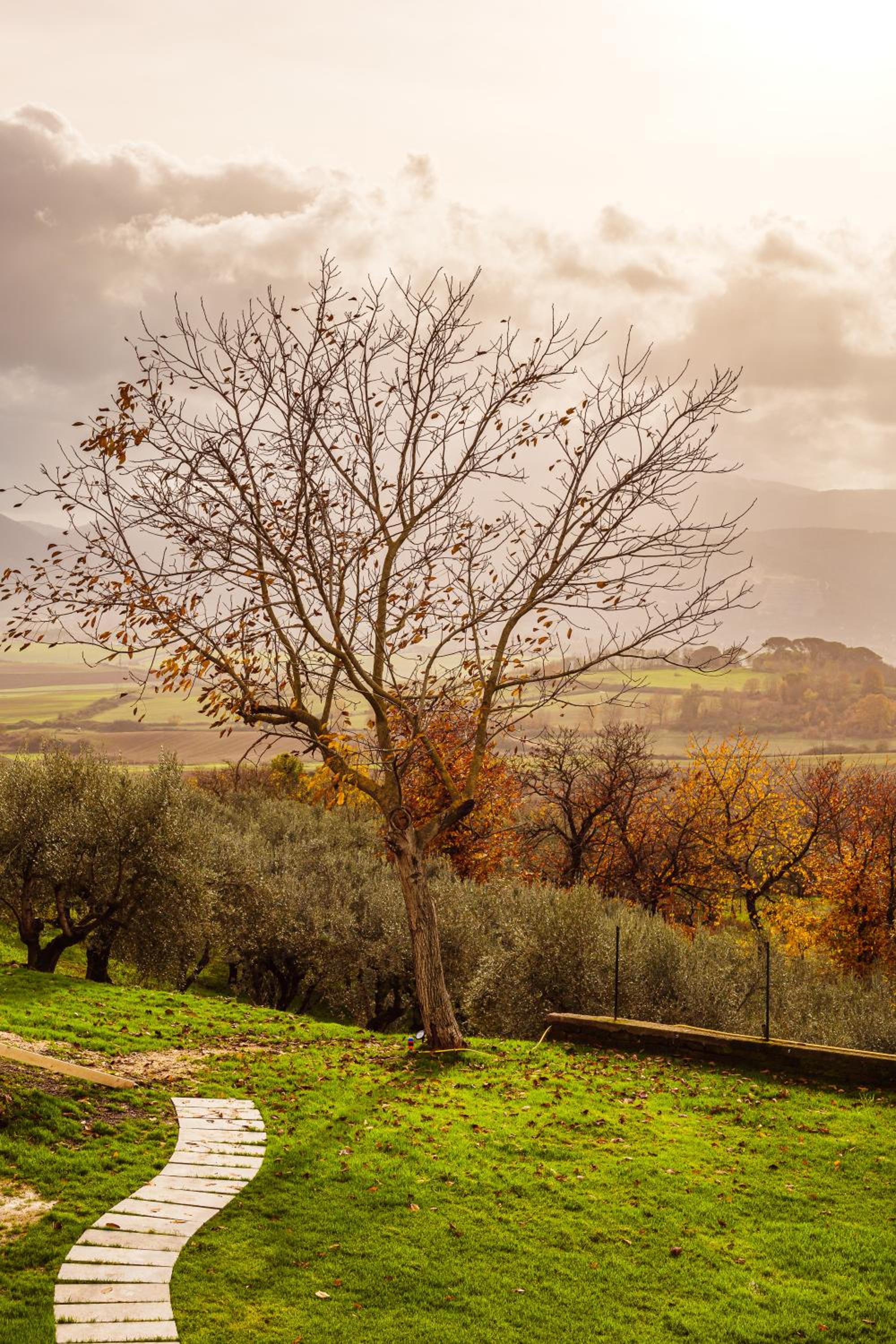 Olio su Tela view 5