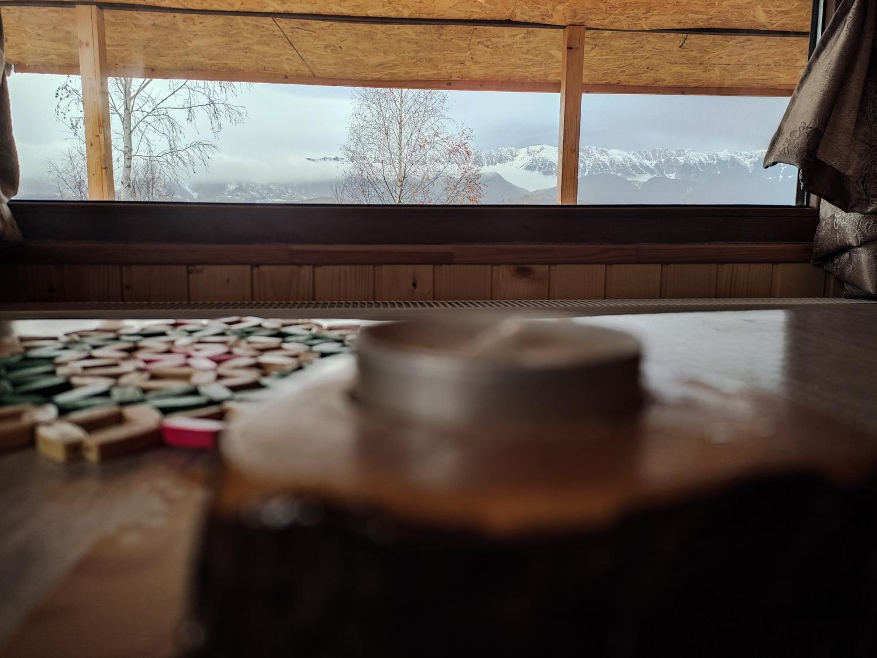 Cabana doi mesteceni