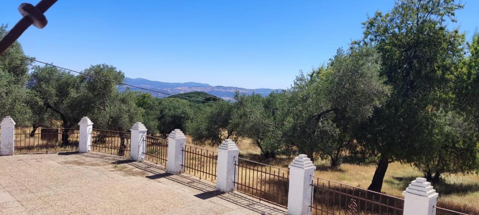 Finca el Berezal