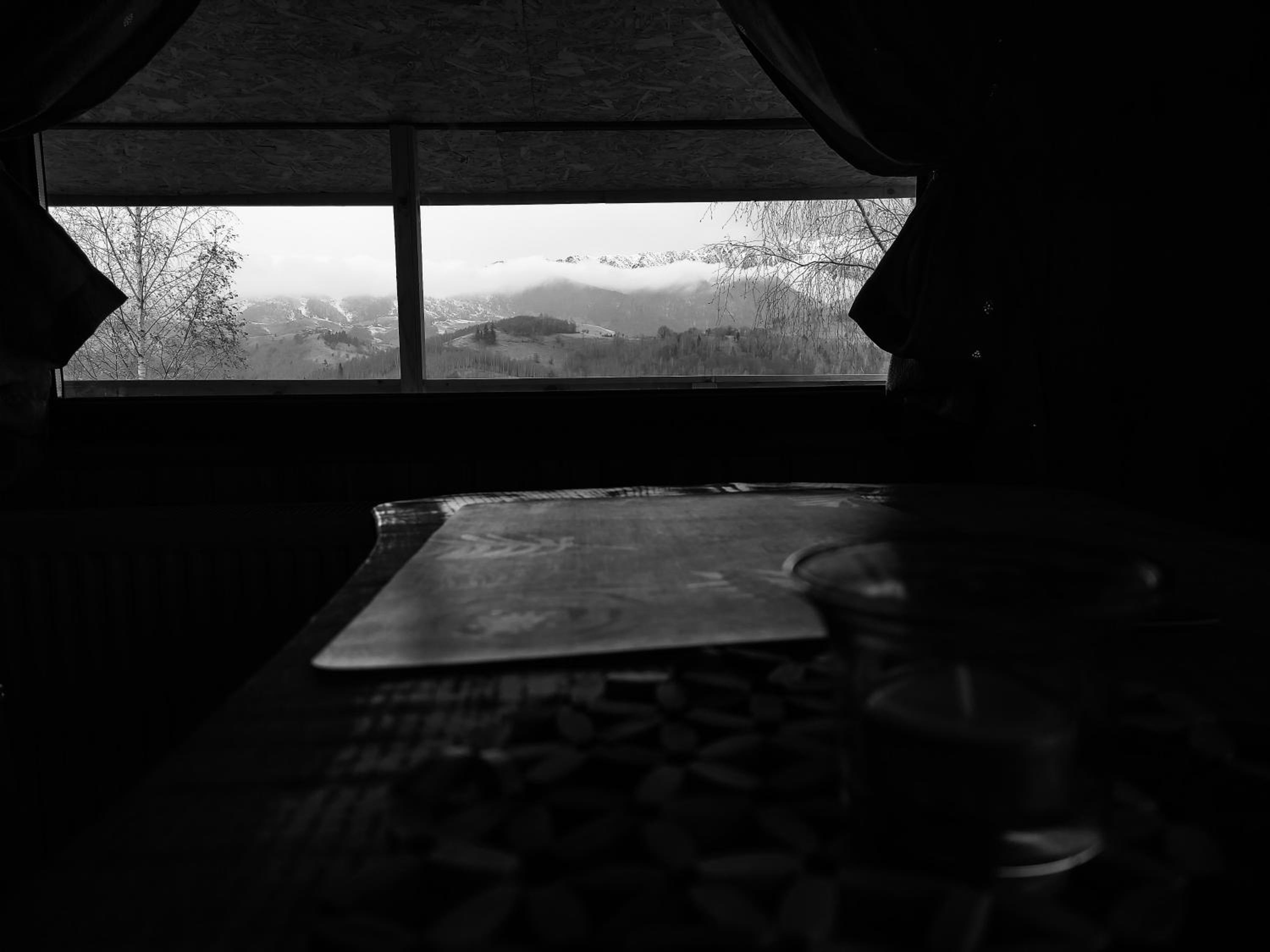 Cabana doi mesteceni