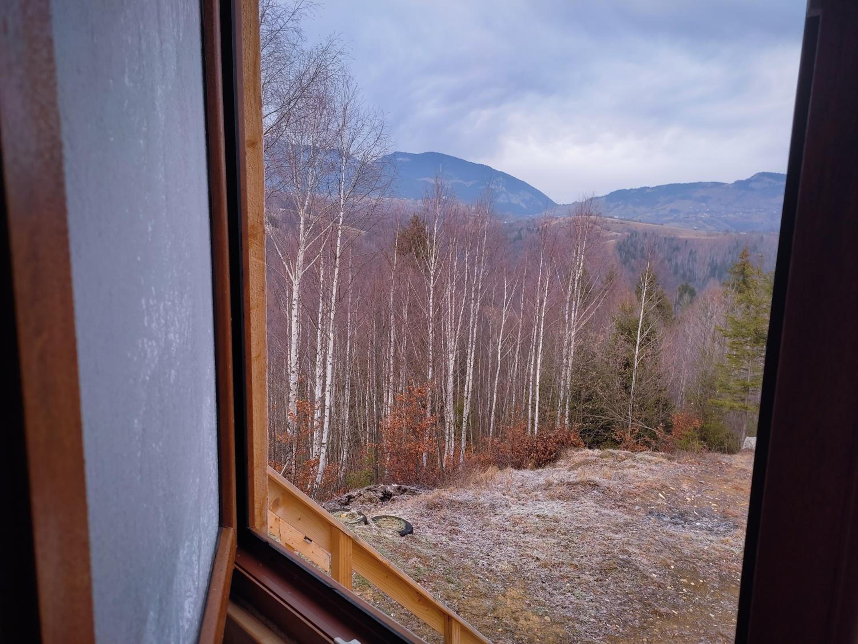Cabana doi mesteceni